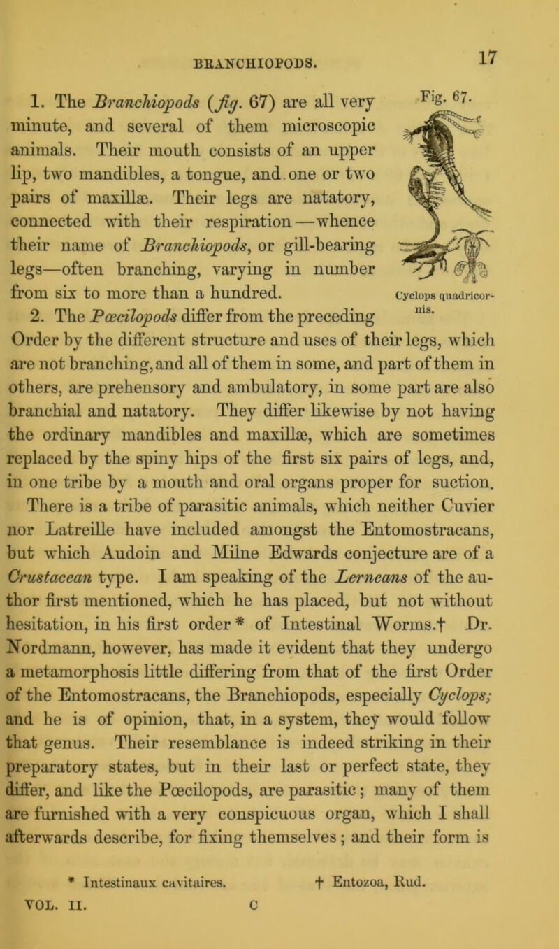 BEANCHIOPODS. 1. The Branchiopods {fig. 67) are all very minute, and several of them microscopic animals. Their mouth consists of an upper lip, two mandibles, a tongue, and, one or two pairs of maxillae. Their legs are natatory, connected with their respiration—whence their name of Brancliiopods, or gill-bearing legs—often branching, varying in number from six to more than a hundred. 2. The Pcecilopods differ from the preceding Order by the different structure and uses of their legs, which are not branching, and all of them in some, and part of them in others, are prehensory and ambulatory, in some part are also branchial and natatory. They differ likewise by not having the ordinary mandibles and maxillae, which are sometimes replaced by the spiny hips of the first six pairs of legs, and, in one tribe by a mouth and oral organs proper for suction. There is a tribe of parasitic animals, which neither Cuvier nor Latreille have included amongst the Entomostracans, but which Audoin and Milne Edwards conjecture are of a Crustacean type. I am speaking of the Lerneans of the au- thor first mentioned, which he has placed, but not without hesitation, in his first order* of Intestinal Worms.f -Dr. Nordmann, however, has made it evident that they undergo a metamorphosis little differing from that of the first Order of the Entomostracans, the Branchiopods, especially Cyclops; and he is of opinion, that, in a system, they would follow that genus. Their resemblance is indeed striking in their preparatory states, but in their last or perfect state, they differ, and like the Pcecilopods, are parasitic; many of them are furnished with a very conspicuous organ, which I shall afterwards describe, for fixing themselves; and their form is * Intestinaux cavitaires. + Entozoa, Rud. Fig. 67. nis. VOL. II. C