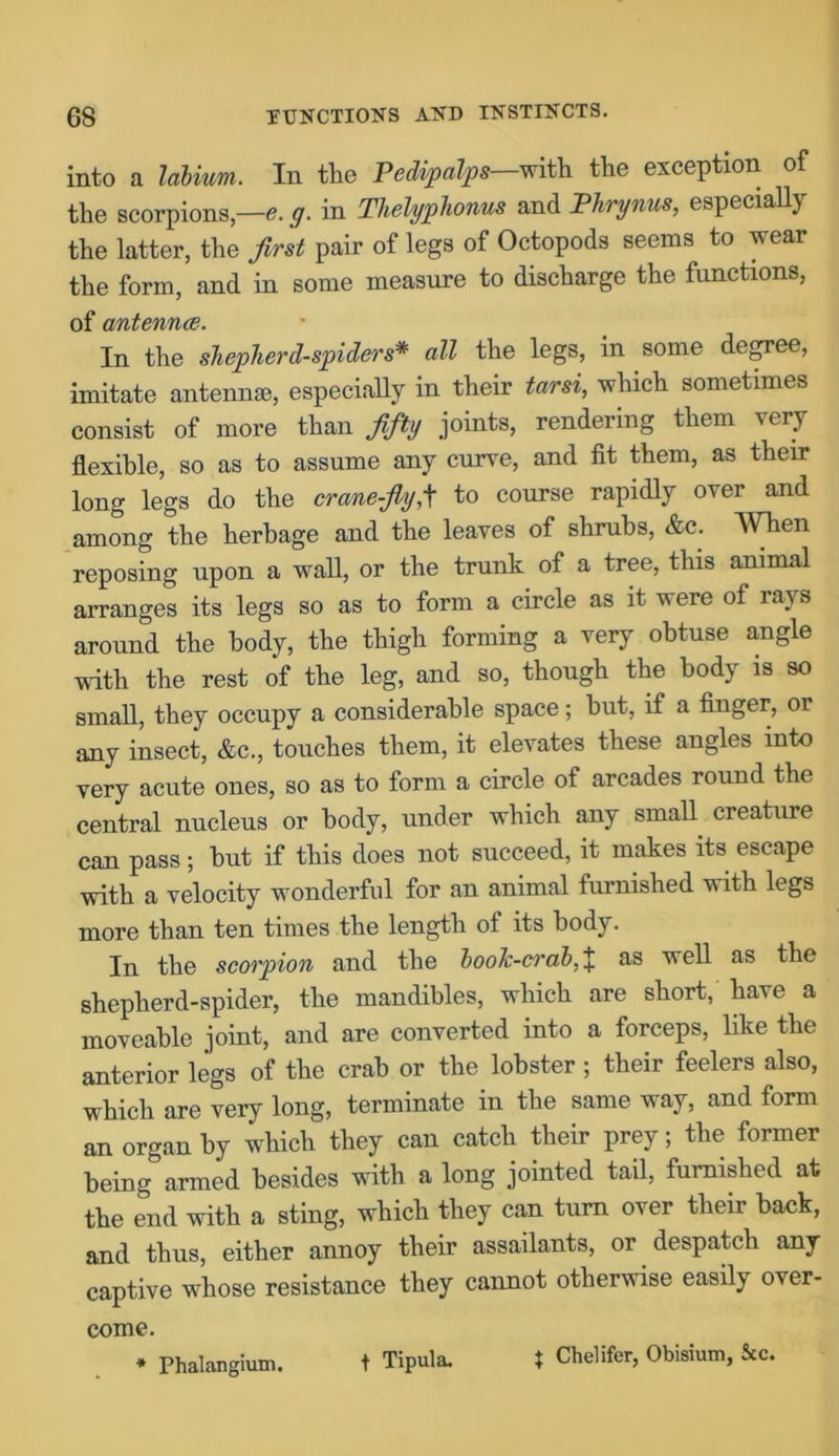 into a labium. In the Pedipalps—with the exception of the scorpions,—e. g. in Thelyphonus and Phrynus, especially the latter, the first pair of legs of Octopods seems to wear the form, and in some measure to discharge the functions, of antennae. In the shepherd-spiders* all the legs, in some degree, imitate antennal, especially in their tarsi, which sometimes consist of more than fifty joints, rendering them very flexible, so as to assume any curve, and fit them, as their long legs do the crane-fly f to course rapidly over and among the herbage and the leaves of shrubs, &c. When reposing upon a wall, or the trunk of a tree, this animal arranges its legs so as to form a circle as it were of rays around the body, the thigh forming a very obtuse angle with the rest of the leg, and so, though the body is so small, they occupy a considerable space; hut, if a finger, or any insect, &c., touches them, it elevates these angles into very acute ones, so as to form a circle of arcades round the central nucleus or body, under which any small creature can pass; hut if this does not succeed, it makes its escape with a velocity wonderful for an animal furnished with legs more than ten times the length of its body. In the scorpion and the boolc-crab, * as well as the shepherd-spider, the mandibles, which are short, have a moveable joint, and are converted into a forceps, like the anterior legs of the crab or the lobster; their feelers also, which are very long, terminate in the same way, and form an organ by which they can catch their prey; the former being armed besides with a long jointed tail, furnished at the end with a sting, which they can turn over their back, and thus, either annoy their assailants, or despatch any captive whose resistance they cannot otherwise easily over- come. * Phalangium. t Tipula. t Chelifer, Obisium, See.