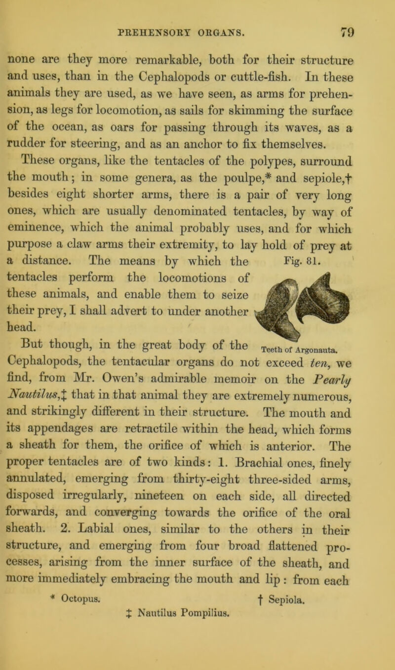 none are they more remarkable, both for their structure and uses, than in the Cephalopods or cuttle-fish. In these animals they are used, as we have seen, as arms for prehen- sion, as legs for locomotion, as sails for skimming the surface of the ocean, as oars for passing through its waves, as a rudder for steering, and as an anchor to fix themselves. These organs, like the tentacles of the polypes, surround the mouth; in some genera, as the poulpe,* and sepiole,+ besides eight shorter arms, there is a pair of very long ones, which are usually denominated tentacles, by way of eminence, which the animal probably uses, and for which purpose a claw arms their extremity, to lay hold of prey at a distance. The means by which the Fig- 81. tentacles perform the locomotions of these animals, and enable them to seize their prey, I shall advert to under another head. But though, in the great body of the TeethTLgonauta. Cephalopods, the tentacular organs do not exceed ten, we find, from Mr. Owen’s admirable memoir on the Pearly Nautilus,X that in that animal they are extremely numerous, and strikingly different in their structure. The mouth and its appendages are retractile within the head, which forms a sheath for them, the orifice of which is anterior. The proper tentacles are of two kinds: 1. Brachial ones, finely annulated, emerging from thirty-eight three-sided arms, disposed irregularly, nineteen on each side, all directed forwards, and converging towards the orifice of the oral sheath. 2. Labial ones, similar to the others in their structure, and emerging from four broad flattened pro- cesses, arising from the inner surface of the sheath, and more immediately embracing the mouth and lip : from each * Octopus. f Sepiola. X Nautilus Pompilius.