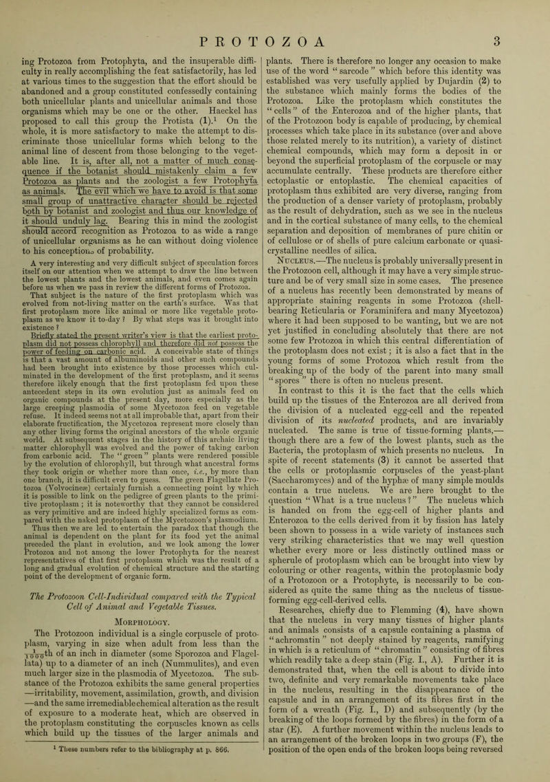 ing Protozoa from Protophyta, and the insuperable diffi- culty in really accomplishing the feat satisfactorily, has led at various times to the suggestion that the effort should be abandoned and a group constituted confessedly containing both unicellular plants and unicellular animals and those organisms which may be one or the other. Haeckel has proposed to call this group the Protista (1).^ On the whole, it is more satisfactory to make the attempt to dis- criminate those unicellular forms which belong to the animal line of descent from those belonging to the veget- able line. It is, after all, not a matter of much conse- quence if the botanist should mistakenly claim a few Protozoa as plants and the zoologist a few Protophyta as animals. The evil which ^ have to avoid is that some small group of unattractive character should be rejected both by botanist and zoologist and thus our knowledge of it should unduly lag. Bearing this in mind the zoologist should accord recognition as Protozoa to as wide a range of unicellular organisms as he can without doing violence to his conceptioiio of probability. A very interesting and very difficult subject of speculation forces itself on our attention when we attempt to draw the line between the lowest plants and the lowest animals, and even comes again before us when we pass in review the different forms of Protozoa. That subject is the nature of the first protoplasm which was evolved from not-living matter on the earth’s surface. Was that first protoplasm more like animal or more like vegetable proto- plasm as we know it to-day ? By what steps was it brought into existence ? Briefly stated the present >vriter’s view is that the earliest proto- •plasm did not possess chloronhvll and therefore did not possess the power of feeding on carbonic acid. A conceivable state of things is that a vast amount of albuminoids and other such compounds had been brought into existence by those processes which cul- minated in the development of the first protoplasm, and it seems therefore likely enough that the first protoplasm fed upon these antecedent steps in its own evolution just as animals feed on organic compounds at the present day, more especially as the large creeping plasmodia of some Mycetozoa feed on vegetable refuse. It indeed seems not at all improbable that, apart from their elaborate fructification, the Mycetozoa represent more closely than any other living forms the original ancestors of the whole organic world. At subsequent stages in the history of this archaic living matter chlorophyll was evolved and the power of taking carbon from carbonic acid. The “green” plants were rendered possible by the evolution of chlorophyll, but through what ancestral forms they took origin or whether more than once, i.e., by more than one branch, it is difficult even to guess. The green Flagellate Pro- tozoa (Volvocinese) certainly furnish a connecting point by which it is possible to link on the pedigree of green plants to the primi- tive protoplasm ; it is noteworthy that they cannot be considered as very primitive and are indeed highly specialized forms as com- pared with the naked protoplasm of the Mycetozoon’s plasmodium. Thus then we are led to entertain the paradox that though the animal is dependent on the plant for its food yet the animal ])receded the plant in evolution, and we look among the lower Protozoa and not among the lowxr Protophyta for the nearest representatives of that first protoplasm which was the result of a long and gradual evolution of chemical structure and the starting point of the development of organic form. The Protozoon Cell-Individual compared with the Typical Cell of Animal and Vegetable Tissues. Morphology. The Protozoon individual is a single corpuscle of proto- plasm, varying in size when adult from less than the ^^5^th of an inch in diameter (some Sporozoa and Flagel- lata) up to a diameter of an inch (Nummulites), and even much larger size in the plasmodia of Mycetozoa. The sub- stance of the Protozoa exhibits the same general properties —irritability, movement, assimilation, growth, and division —and the same irremediable chemical alteration as the result of exposure to a moderate heat, -which are observed in the protoplasm constituting the corpuscles known as cells which build up the tissues of the larger animals and plants. There is therefore no longer any occasion to make use of the word “ sarcode ” which before this identity was established was very usefully applied by Dujardin (2) to the substance which mainly forms the bodies of the Protozoa. Like the protoplasm which constitutes the “cells” of the Enterozoa and of the higher plants, that of the Protozoon body is capable of producing, by chemical processes which take place in its substance (over and above those related merely to its nutrition), a variety of distinct chemical compounds, which may form a deposit in or beyond the superficial protoplasm of the corpuscle or may accumulate centrally. These products are therefore either ectoplastic or entoplastic. The chemical capacities of protoplasm thus exhibited are very diverse, ranging from the production of a denser variety of protoplasm, probably as the result of dehydration, such as we see in the nucleus and in the cortical substance of many cells, to the chemical separation and deposition of membranes of pure chitin or of cellulose or of shells of pure calcium carbonate or quasi- crystalline needles of silica. Nucleus.—The nucleus is probably universally present in the Protozoon cell, although it may have a very simple struc- ture and be of very small size in some cases. The presence of a nucleus has recently been demonstrated by means of appropriate staining reagents in some Protozoa (shell- bearing Reticularia or Foraminifera and many Mycetozoa) where it had been supposed to be wanting, but we are not yet justified in concluding absolutely that there are not some few Protozoa in which this central differentiation of the protoplasm does not exist; it is also a fact that in the young forms of some Protozoa which result from the breaking up of the body of the parent into many small “ spores ” there is often no nucleus present. in contrast to this it is the fact that the cells which build up the tissues of the Enterozoa are all derived from the division of a nucleated egg-cell and the repeated division of its nucleated products, and are invariably nucleated. The same is true of tissue-forming plants,— though there are a few of the lowest plants, such as the Bacteria, the protoplasm of which presents no nucleus. In spite of recent statements (3) it cannot be asserted that the cells or protoplasmic corpuscles of the yeast-plant (Saccharomyces) and of the hyphse of many simple moulds contain a true nucleus. We are here brought to the question “ What is a true nucleus ? ” The nucleus which is handed on from the egg-cell of higher plants and Enterozoa to the cells derived from it by fission has lately been shown to possess in a wide variety of instances such very striking characteristics that we may well question whether every more or less distinctly outlined mass or spherule of protoplasm which can be brought into view by colouring or other reagents, within the protoplasmic body of a Protozoon or a Protophyte, is necessarily to be con- sidered as quite the same thing as the nucleus of tissue- forming egg-cell-derived cells. Kesearches, chiefly due to Flemming (4), have shown that the nucleus in very many tissues of higher plants and animals consists of a capsule containing a plasma of “ achromatin ” not deeply stained by reagents, ramifying in which is a reticulum of “ chromatin ” consisting of fibres which readily take a deep stain (Fig. I., A). Further it is demonstrated that, when the cell is about to divide into two, definite and very remarkable movements take place in the nucleus, resulting in the disappearance of the capsule and in an arrangement of its fibres first in the form of a wreath (Fig. I., D) and subsequently (by the breaking of the loops formed by the fibres) in the form of a star (E). A further movement within the nucleus leads to an arrangement of the broken loops in two groups (F), the position of the open ends of the broken loops being reversed * These numbers refer to tlie bibliography at p. 866.