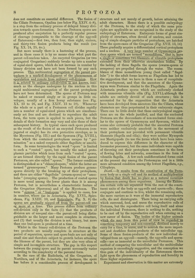 does not constitute an essential difference. The fission of the Ciliate Protozoon, Opalina (see below Fig. XXIV. 4-8), is a step from the ordinary process of delayed binary divi- sion towards spore-formation. In some Protozoa spores are produced after encystation by a perfectly regular process of cleavage (comparable to the cleavage of the egg-cell of Enterozoa)—first two, then four, then eight, sixteen, and thirty-two fission products being the result (see Fig. XX. 24, 25, &c.). But more usually there is a hastening of the process, and in these cases it is by no means clear what part the parent cell-nucleus takes. An encysted Gregarina (or two conjugated Gregarinse) suddenly breaks up into a number of equal-sized spores, which do not increase in number by binary division and have not been formed by any such process. This multicentral segregation of the parent pro- toplasm is amarked development of the phenomenon of sporulation and remote from ordinary cell-division. How it is related to ordinary cell-division is not known, inas- much as^thichamges undergone by the nucleus in this rapid multicentral segregation of the parent protoplasm have not been determined. The spores of Protozoa may be naked or encased singly or in groups in little en- velopes, usually of a firm horny substance (see Fig. XX. 23 to 26, and Fig. XXIV. 15 to 18). Whenever the whole or a part of a Protozoon cell divides rapidly into a number of equal-sized pieces which are simultane- ously set free and are destined to reproduce the adult form, the term spore is applied to such pieces, but the details of their formation may vary and also those of their subsequent history. In typical cases each spore produced as the result of the fission of an encysted Protozoon (con- jugated or single) has its own protective envelope, as in the Mycetozoa (Fig. III.) and the Sporozoa (Fig. XVIII.), from which the contained protoplasm escapes by “ ger- mination ” as a naked corpuscle either flagellate or amcebi- form. In some terminologies the word “ spore ” is limited to such a “ coated ” spore, but usually the naked proto- plasmic particles which issue from such “coated ” spores, or are formed directly by the rapid fission of the parent Protozoon, are also called “ spores.” The former condition is distinguished as a “ chlamydospore, ” whilst the latter are termed “ gymnospores.” Many Protozoa produce gymno- spores directly by the breaking up of their protoplasm, and these are either “flagellulse” (swarm-spores) or “amoe- bulse ” (creeping spores). The production of coated spores is more usual among the lower plants than it is among Protozoa, but is nevertheless a characteristic feature of the Gregaringe (Sporozoa) and of the Mycetozoa. The term “ gemma ” or “ bud-spore ” is applied to cases, few in number, where (as in Acinetaria, Fig. XXVI., Spiro- chona. Fig. XXIII. 10, and Keticularia. Fig. X. 8) the spores are gradually nipped off from the parent-cell one or more at a tima This process differs from ordinary cell-division only in the facts (1) that the products of division are of unequal size—the parent-cell being distin- guishable as the larger and more complete in structure, and (2) that usually the division is not binary, but more than one bud-spore is produced at a time. Whilst in the binary cell-division of the Protozoa the two products are usually complete in structure at the period of separation, spores and spore-buds are not only of small size and therefore subject to growth before attaining the likeness of the parent, but they are also very often of simple and incomplete structure. The gap in this respect between the young spore and its parent necessarily varies according to the complexity of the parental form. In the case of the Kadiolaria, of the Gregarinse, of Noctiluca, and of the Acinetaria, for instance, the spore has before it a considerable process of development in structure and not merely of growth, before attaining the adult characters. Hence there is a possible embryology of the Protozoa, to the study of which the same prin- ciples are applicable as are recognized in the study of the embryology of Enterozoa. Embryonic forms of great sim- plicity of structure, often devoid of nucleus, and consist- ing of simple elongate particles of protoplasm, are hatched from the spore-cases of the Gregarinae (Fig. XVII. 13, 14) These gradually acquire a differentiated cortical protoplasm and a nucleus. A very large number of Gymnomyxa pro- duce spores which are termed “ monadiforni. ” that is, h^e a~ single or sometimes two filaments of vibratile protoplasm extended from their otherwise structureless bodies. By the lashing of these flagella the spores (swarm-spores or zoospores) are propelled through the water. The resem- blance of these monadiform young (best called “ flagel- lulse ”) to the adult forms known as Flagellata has led to the suggestion that we have in them a case of recapitula- tive development, and that the ancestors of the Gymno- myxa were Protozoa similar to the Flagellata. Again the Acinetaria produce spores which are uniformly clothed with numerous vibratile cilia (Fig. XXVI.), although the adults are entirely devoid of such structures; this is accounted for by the supposition that the Acinetaria have been developed from ancestors like the Ciliata, whose characters are thus perpetuated in their embryonic stages. There can be little doubt that these embryological sugges- tions are on the whole justified, and that the nucleated Protozoa are the descendants of non-nucleated forms simi- lar to the spores of Gymnomyxa and Sporozoa, whilst it seems also extremely probable that the ancestral Protozoa were neither exclusively amoeboid in the movement of their protoplasm nor provided with permanent vibratile filaments (flagella and cilia); they were neither Myxopods nor Mastigopods (to use the terms which have been intro- duced to express this difference in the character of the locomotor processes), but the same individuals were capable of throwing out their protoplasm sometimes in the form of flowing lobes and networks, sometimes in the form of vibratile flagella. A few such undifferentiated forms exist at the present day among the Proteomyxa and in a little more advanced condition among the lowest Flagellata, e.g.^ Ciliophrys. Death.—It results from the constitution of the Proto- zoon body as a single cell and its method of multiplication by fission that death has no place as a natural recurrent phenomenon among these organisms. Among the Entero- zoa certain cells are separated froffTthe rest of the consti- tuent units of the body as egg-cells and sperm-cells; these conjugate and continue to live, whilst the remaining cells, the mere carriers as it were of the immortal reproductive cells, die and disintegrate. There being no carrying cells which surround, feed, and nurse the reproductive cells of Protozoa, but the reproductive cell being itself and alone the individual Protozoon, there is nothing to die, nothing to be cast off by the reproductive cell when entering on a new career of fission. The bodies of the higher animals which die mav from this point of view be regarded~as something temporary and non-essential, destined merely to carry for a time, to nurse, and to nourish the more import- ant and deathless fission-products of the unicellular egg. Some of these fis.sion-products of the new individual de- veloped from an egg-cell—namely, the egg-cells and sperm- cells—are as immortal as the unicellular Protozoon. This method of comparing the unicellular and the multicellular organism is exceedingly suggestive, and the conception we thus gain of the individuality of the Enterozoon throws light upon the phenomena of reproduction and heredity in those higher organisms. Experiment and observation in this matter are extremely