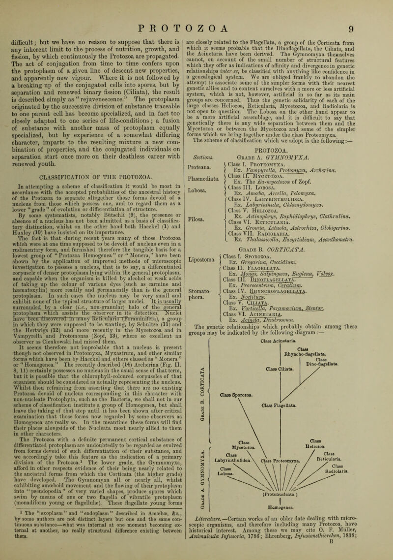 difficult; but we have no reason to suppose that there is any inherent limit to the process of nutrition, growth, and fission, by which continuously the Protozoa are propagated. The act of conjugation from time to time confers upon the protoplasm of a given line of descent new properties, and apparently new vigour. Where it is not followed by a breaking up of the conjugated cells into spores, but by separation and renewed binary fission (Ciliata), the result is described simply as “ rejuvenescence.” The protoplasm originated by the successive division of substance traceable to one parent cell has become specialized, and in fact too closely adapted to one series of life-conditions; a fusion of substance with another mass of protoplasm equally specialized, but by experience of a somewhat differing character, imparts to the resulting mixture a new com- bination of properties, and the conjugated individuals on separation start once more on their deathless career with renewed youth. CLASSIFICATION OF THE PROTOZOA. In attempting a scheme of classification it would be most in accordance with the accepted probabilities of the ancestral history of the Protozoa to separate altogether those forms devoid of a nucleus from those which possess one, and to regard them as a lower “ grade ” of evolution or differentiation of structure. By some systematists, notably Biitschli (9), the presence or absence of a nucleus has not been admitted as a basis of classifica- tory distinction, whilst on the other hand both Haeckel (1) and Huxley (10) have insisted on its importance. The fact is that during recent years many of those Protozoa which were at one time supposed to be devoid of nucleus even in a rudimentary form, and furnished therefore the tangible basis for a lowest group of “Protozoa Homogenea” or “Monera,” have been shown by the application of improved methods of microscopic investigation to possess a nucleus, that is to say, a differentiated corpuscle of denser protoplasm lying within the general protoplasm, and capable when the organism is killed by alcohol or weak acids of taking up the colour of various dyes (such as carmine and haematoxylin) more readily and permanently than is the general protoplasm. In such cases the nucleus may be very small and exhibit none of the typical structure of larger nuclei. It is usually su rrounded by a clear {i.e., non-granular) halo of the general proto[)lasm which assists the observer in its detection. Nuclei have been dl.scovercd In many Reticularia (Foraminifera), a group in which they were supposed to be wanting, by Schultze (11) and the Hertwigs (12) and more recently in the Mycetozoa and in Vampyrclla and Protomonas (Zopf, 13), where so excellent an observer as Cienkowski had missed them. It seems therefore not improbable that a nucleus is present though not observed in Protomyxa, Myxastrum, and other similar forms which have been by Haeckel and others classed as “ Monera ” or “ Homogenea.” The recently described (14) Archerina (Fig. II. 8, 11) certainly possesses no nucleus in the usual sense of that term, but it is possible that the chlorophyll-coloured corpuscles of that organism should be considered as actually representing the nucleus. Whilst then refraining from asserting that there are no existing Protozoa devoid of nucleus corresponding in this character with non-nucleate Protophyta, such as the Bacteria, we shall not in our scheme of classification institute a group of Homogenea, but shall leave the taking of that step until it has been shown after critical examination that those forms now regarded by some observers as Homogenea are really so. In the meantime these forms will find their places alongside of the Nucleata most nearly allied to them in other characters. The Protozoa with a definite permanent cortical substance of differentiated protoplasm are undoubtedly to be regarded as evolved from forms devoid of such differentiation of their substance, and we accordingly take this feature as the indication of a primary division of the Protozoa.* The lower grade, the Gymnomj^xa, afford in other respects evidence of their being nearly related to the ancestral forms from which the Corticata (the higher grade) have developed. The Gymnomyxa all or nearly all, whilst exhibiting amceboid movement and the flowing of their protoplasm into “pseudopodia” of very varied shapes, produce spores which swim by means of one or two flagella of vibratile protoplasm (monadiform young or flagellula;). These flagellate young forms * The “ exoplasm ” and “ endoplasm ” described in Amoebae, &c., by some authors are not distinct layers but one and the same con- tinuous substance—what was internal at one moment becoming ex- ternal at another, no really structural difference existing between them. are closely related to the Flagellata, a group of the Corticata from which it seems probable that the Dinoflagellata, the Ciliata, and the Acinetaria have been derived. The Gymnomyxa themselves cannot, on account of the small number of structural features which they offer as indications of affinity and divergence in genetic relationships inter se, be classified with anything like confidence in a genealogical system. We are obliged frankly to abandon the attempt to associate some of the simpler forms with their nearest genetic allies and to content ourselves with a more or less artificial system, which is not, however, artificial in so far as its main groups are concerned. Thus the genetic solidarity of each of the large classes Heliozoa, Reticularia, Mycetozoa, and Radiolaria is not open to question. The Lobosa on the other hand appear to be a more artificial assemblage, and it is difficult to say that genetically there is any wide separation between them and the Mycetozoa or between the Jlycetozoa and some of the simpler forms which we bring together under the class Proteomyxa. The scheme of classification which we adopt is the following:— PROTOZOA. Sections. Proteana. Plasmodiata. Lobosa. Filosa. Grade A. GYMNOMYXA. ( Class I. Proteomyxa. ( Ex. Vampyrella, Protomyxa, Archerina. 1 Class IL Mycetozoa. Ex. The Eu-mycetozoa of Zopf. Class III. Lobosa. Ex. Amoeba, Arcella, Pclomyxa. (Class IV. Labyrinthulidea. I Ex. Lahyrinthula, Chlamydomyxa. I Class V. Heliozoa. Ex. Actinophnjs, Raphidiophrrjs, Clathrulina. Class VI. Reticularia. Ex. Gromia, Lituola, Astrorhiza, Globigerina. Class VII. Radiolaria. , Ex. Thalassicolla, Eucyrtidium, Acanthometra. Grade B. CORTICATA. T i Class I. Sporozoa. Lipostoma. I Gregarina, Coccidium. ' Class II. Flagellata. Ex. Monas, Satyingosca, Euglena, Volvox. Class III. D1XOFLAGELLAT.V Ex. Prorocentru7n, Ceratium. Stomato- J Class IV. Rhyxchoflagellata. phora. ' Ex. Noctiluca. Class V. Ciliata. Ex. Vorticella. Paramcecium. Stentor. Class VI. Acinetaria. , Ex. Acineta. Dendrosoma. The genetic relationships which probably obtain among these groups may be indicated by the following diagram :— Literature. —Certain works of an older date dealing w’ith micro- scopic organisms, and therefore including many Protozoa, have historical interest. Among these we may cite 0. F. !Mfiller, Animalcula Inf usoria, 1786; Ehrenberg, In/usionsthierchen, 1838;