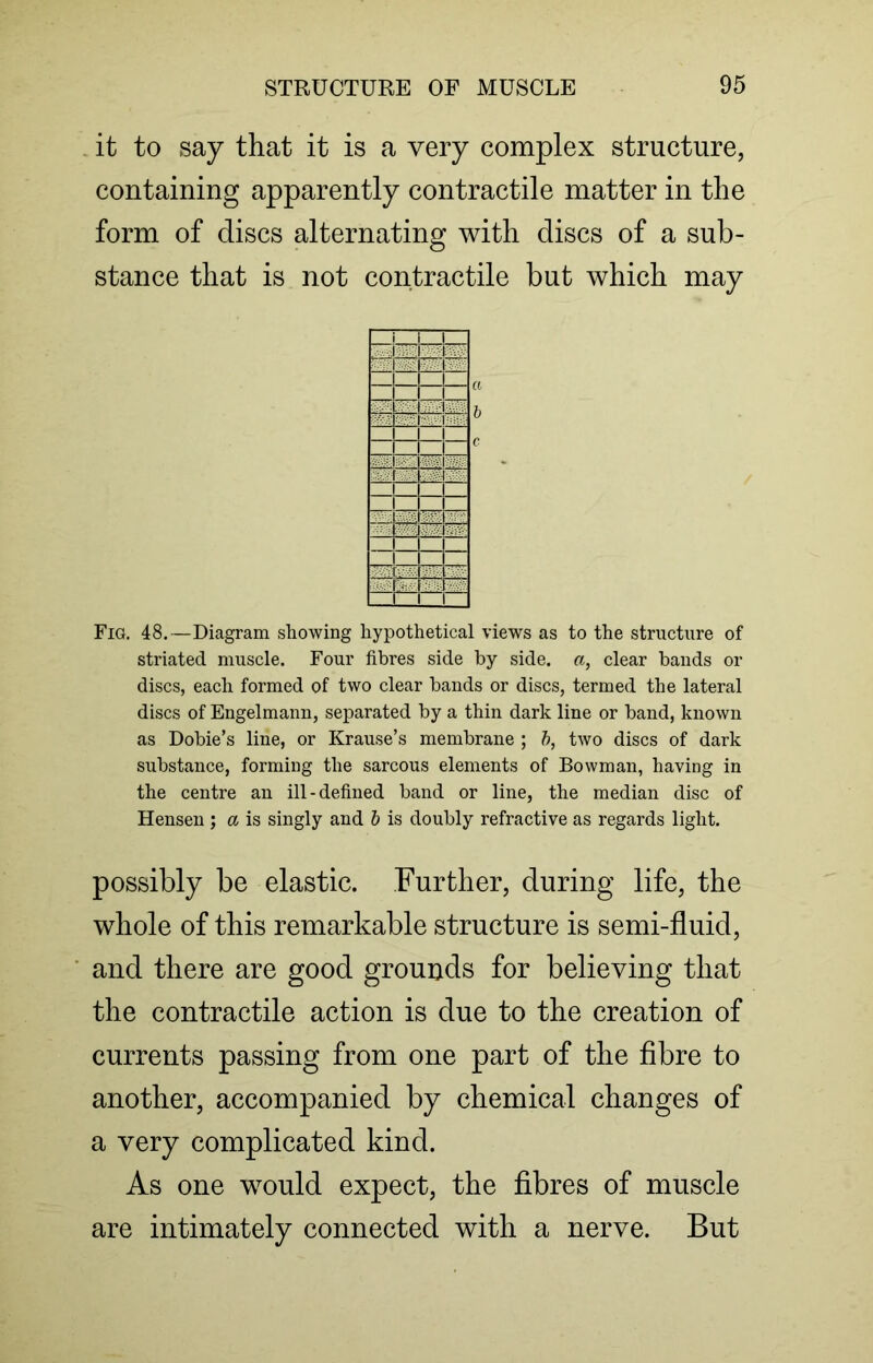 it to say that it is a very complex structure, containing apparently contractile matter in the form of discs alternating with discs of a sub- stance that is not contractile but which may i 1 i I I 1 dzHz „_j j —1— i j_ T r — — i - { i i ■ i Fig. 48.—Diagram showing hypothetical views as to the structure of striated muscle. Four fibres side by side, a, clear bands or discs, each formed of two clear bands or discs, termed the lateral discs of Engelmann, separated by a thin dark line or band, known as Dobie’s line, or Krause’s membrane ; b, two discs of dark substance, forming the sarcous elements of Bowman, having in the centre an ill-defined band or line, the median disc of Hensen ; a is singly and b is doubly refractive as regards light. possibly be elastic. Further, during life, the whole of this remarkable structure is semi-fluid, and there are good grounds for believing that the contractile action is due to the creation of currents passing from one part of the fibre to another, accompanied by chemical changes of a very complicated kind. As one would expect, the fibres of muscle are intimately connected with a nerve. But