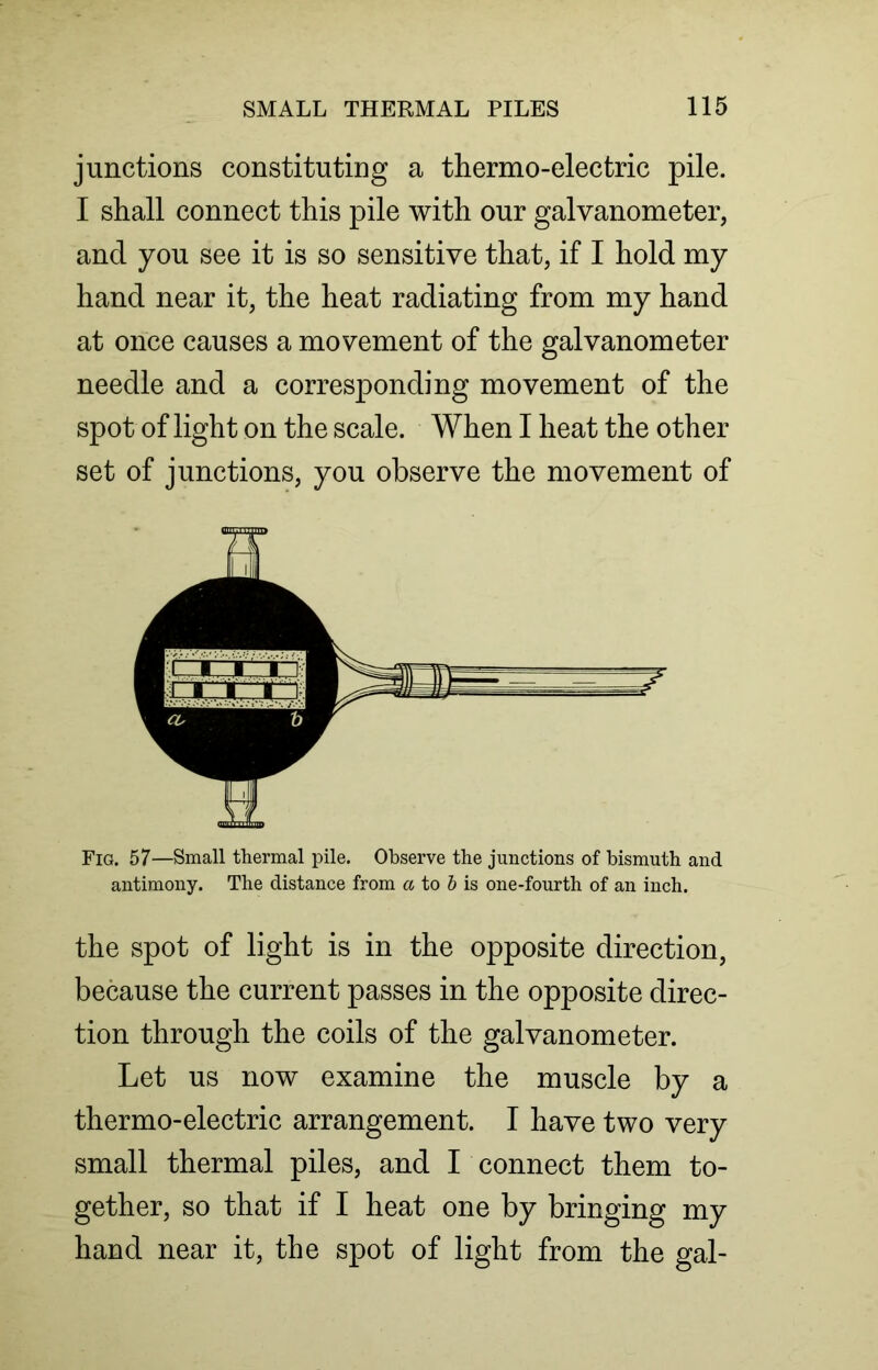 junctions constituting a thermo-electric pile. I shall connect this pile with our galvanometer, and you see it is so sensitive that, if I hold my hand near it, the heat radiating from my hand at once causes a movement of the galvanometer needle and a corresponding movement of the spot of light on the scale. When I heat the other set of junctions, you observe the movement of Fig. 57—Small thermal pile. Observe the junctions of bismuth and antimony. The distance from a to b is one-fourth of an inch. the spot of light is in the opposite direction, because the current passes in the opposite direc- tion through the coils of the galvanometer. Let us now examine the muscle by a thermo-electric arrangement. I have two very small thermal piles, and I connect them to- gether, so that if I heat one by bringing my hand near it, the spot of light from the gal-