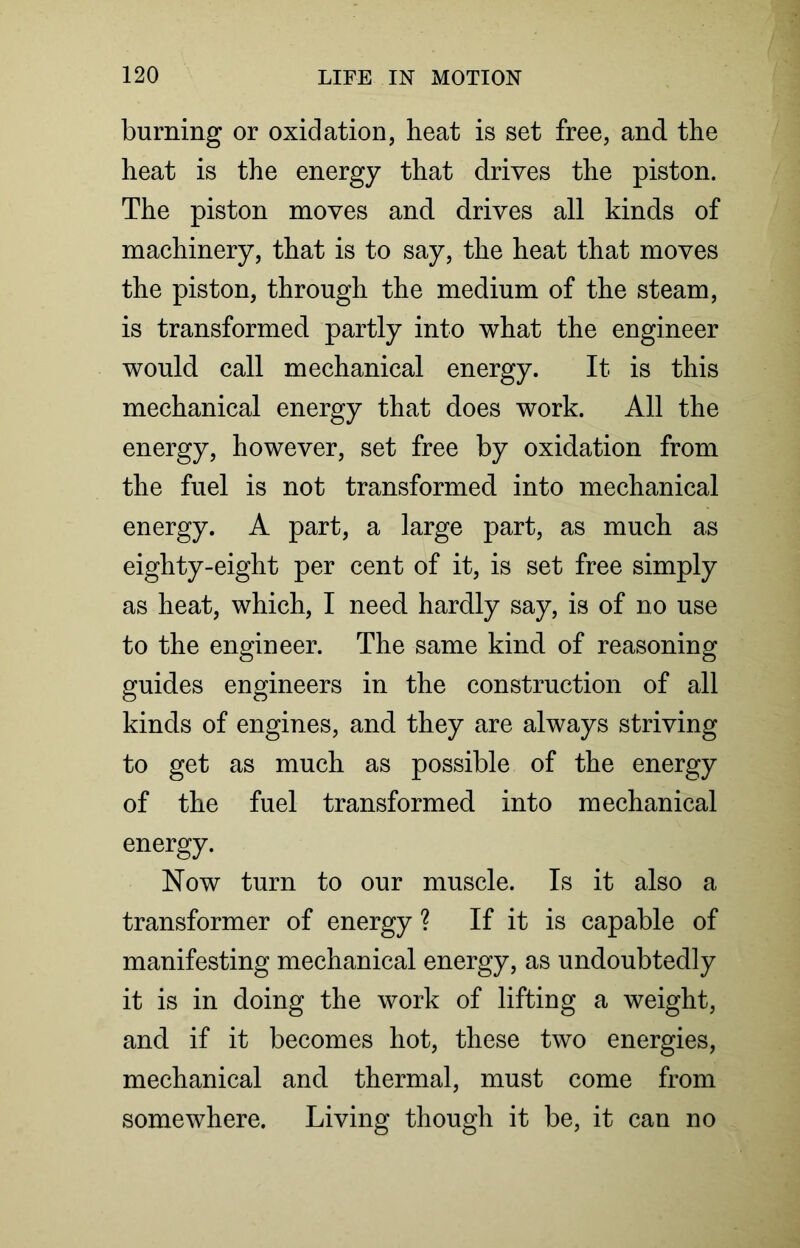 burning or oxidation, heat is set free, and the heat is the energy that drives the piston. The piston moves and drives all kinds of machinery, that is to say, the heat that moves the piston, through the medium of the steam, is transformed partly into what the engineer would call mechanical energy. It is this mechanical energy that does work. All the energy, however, set free by oxidation from the fuel is not transformed into mechanical energy. A part, a large part, as much as eighty-eight per cent of it, is set free simply as heat, which, I need hardly say, is of no use to the engineer. The same kind of reasoning guides engineers in the construction of all kinds of engines, and they are always striving to get as much as possible of the energy of the fuel transformed into mechanical energy. Now turn to our muscle. Is it also a transformer of energy ? If it is capable of manifesting mechanical energy, as undoubtedly it is in doing the work of lifting a weight, and if it becomes hot, these two energies, mechanical and thermal, must come from somewhere. Living though it be, it can no