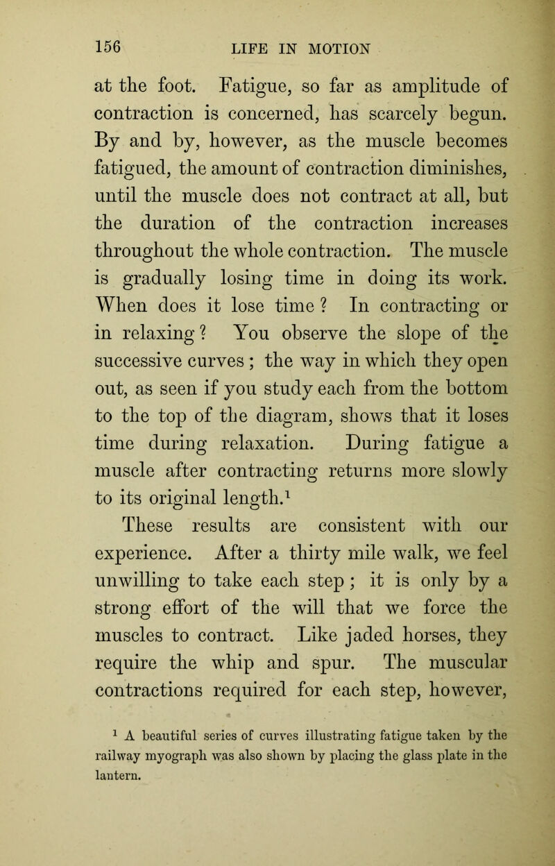 at the foot. Fatigue, so far as amplitude of contraction is concerned, has scarcely begun. By and by, however, as the muscle becomes fatigued, the amount of contraction diminishes, until the muscle does not contract at all, but the duration of the contraction increases throughout the whole contraction. The muscle is gradually losing time in doing its work. When does it lose time ? In contracting or in relaxing ? You observe the slope of the successive curves ; the way in which they open out, as seen if you study each from the bottom to the top of the diagram, shows that it loses time during relaxation. During fatigue a muscle after contracting returns more slowly to its original length.1 These results are consistent with our experience. After a thirty mile walk, we feel unwilling to take each step; it is only by a strong effort of the will that we force the muscles to contract. Like jaded horses, they require the whip and spur. The muscular contractions required for each step, however, 1 A beautiful series of curves illustrating fatigue taken by tlie railway myograph was also shown by placing the glass plate in the lantern.