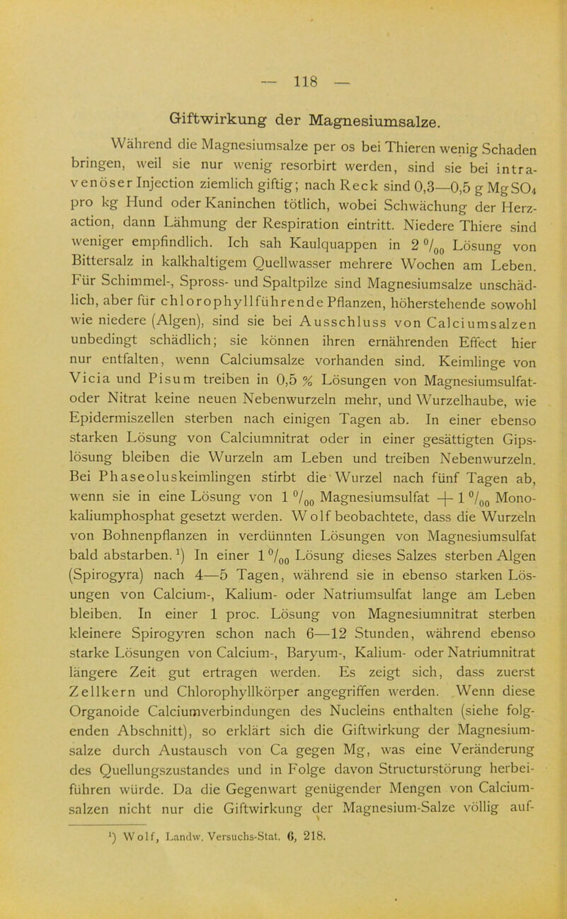 Giftwirkung der Magnesiumsalze. Während die Magnesiumsalze per os bei Thieren wenig Schaden bringen, weil sie nur wenig resorbirt werden, sind sie bei intra- venöser Injection ziemlich giftig; nach Reck sind 0,3—0,5 g MgS04 pro kg Hund oder Kaninchen tötlich, wobei Schwächung der Herz- action, dann Lähmung der Respiration eintritt. Niedere Thiere sind weniger empfindlich. Ich sah Kaulquappen in 2 o/qq Lösung von Bittersalz in kalkhaltigem Quellwasser mehrere Wochen am Leben. Für Schimmel-, Spross- und Spaltpilze sind Magnesiumsalze unschäd- lich, aber für chlorophyllführende Pflanzen, höherstehende sowohl wie niedere (Algen), sind sie bei Ausschluss von Calciumsalzen unbedingt schädlich; sie können ihren ernährenden Effect hier nur entfalten, wenn Calciumsalze vorhanden sind. Keimlinge von Vicia und Pisum treiben in 0,5 % Lösungen von Magnesiumsulfat- oder Nitrat keine neuen Nebenwurzeln mehr, und Wurzelhaube, wie Epidermiszellen sterben nach einigen Tagen ab. In einer ebenso starken Lösung von Calciumnitrat oder in einer gesättigten Gips- lösung bleiben die Wurzeln am Leben und treiben Nebenwurzeln. Bei Phaseoluskeimlingen stirbt die Wurzel nach fünf Tagen ab, wenn sie in eine Lösung von 1 Magnesiumsulfat 1 Mono- kaliumphosphat gesetzt werden. Wolf beobachtete, dass die Wurzeln von Bohnenpflanzen in verdünnten Lösungen von Magnesiumsulfat bald abstarben. In einer 1 Lösung dieses Salzes sterben Algen (Spirogyra) nach 4—5 Tagen, während sie in ebenso starken Lös- ungen von Calcium-, Kalium- oder Natriumsulfat lange am Leben bleiben. In einer 1 proc. Lösung von Magnesiumnitrat sterben kleinere Spirogyren schon nach 6—12 Stunden, während ebenso starke Lösungen von Calcium-, Baryum-, Kalium- oder Natriumnitrat längere Zeit gut ertragen werden. Es zeigt sich, dass zuerst Zellkern und Chlorophyllkörper angegriffen werden. Wenn diese Organoide Calciumverbindungen des Nucleins enthalten (siehe folg- enden Abschnitt), so erklärt sich die Giftwirkung der Magnesium- salze durch Austausch von Ca gegen Mg, was eine Veränderung des Quellungszustandes und in Folge davon Structurstörung herbei- führen würde. Da die Gegenwart genügender Mengen von Calcium- salzen nicht nur die Giftwirkung der Magnesium-Salze völlig auf- *) Wolf, Lamhv. Versuchs-Stat. (5, 218.