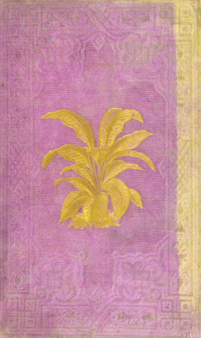 digitised image 1