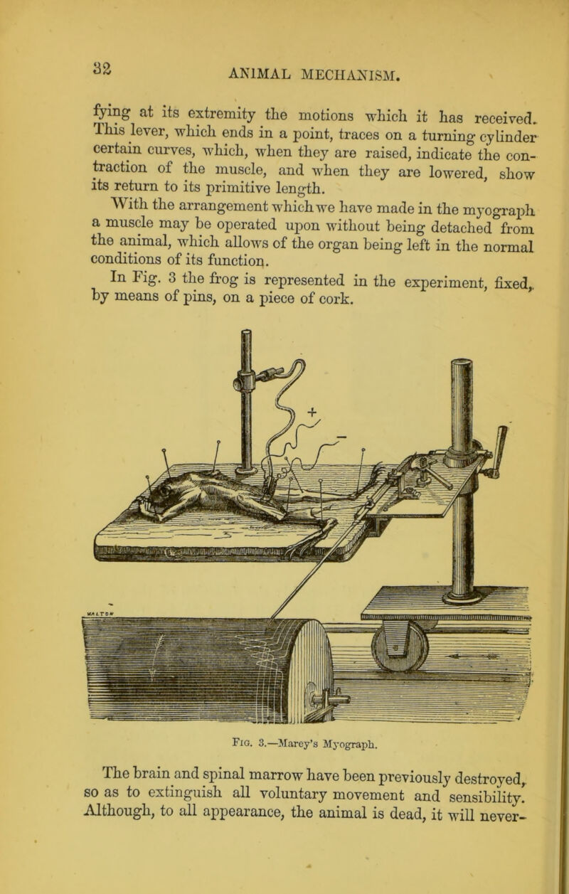 fjing at its extremity tlie motions which it has received. This lever, which ends in a point, traces on a turning cylinder certain curves, which, when they are raised, indicate the con- traction of the muscle, and when they are lowered, show its return to its primitive length. With the arrangement which we have made in the myograph a muscle may be operated upon without being detached°from the animal, which allows of the organ being left in the normal conditions of its function. In Fig. 3 the frog is represented in the experiment, fixed,, by means of pins, on a piece of cork. Fig. 3.—Marey’s Myograph. The brain and spinal marrow have been previously destroyed, so as to extinguish all voluntary movement and sensibility! Although, to all appearance, the animal is dead, it will never—