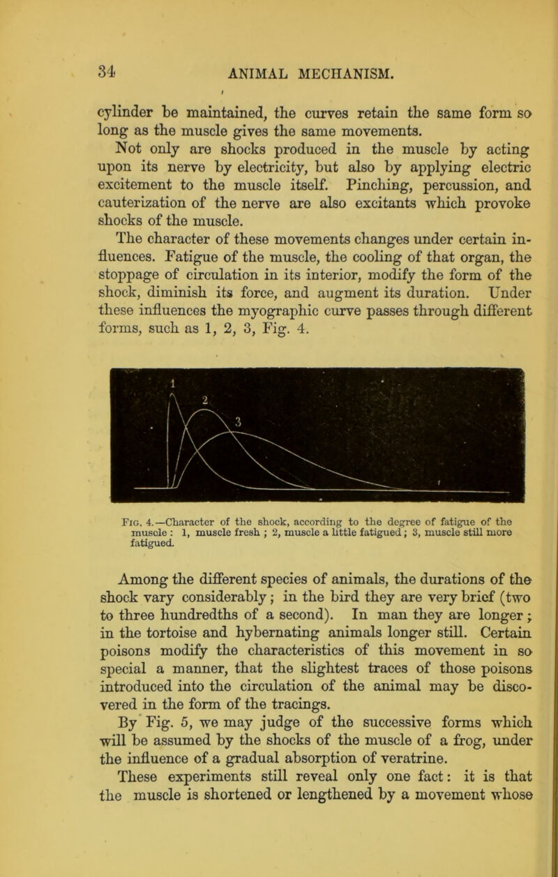 cylinder be maintained, the curves retain the same form so long as the muscle gives the same movements. Not only are shocks produced in the muscle by acting upon its nerve by electricity, but also by applying electric excitement to the muscle itself. Pinching, percussion, and cauterization of the nerve are also excitants which provoke shocks of the muscle. The character of these movements changes under certain in- fluences. Fatigue of the muscle, the cooling of that organ, the stoppage of circulation in its interior, modify the form of the shock, diminish its force, and augment its duration. Under these influences the myographic curve passes through different forms, such as 1, 2, 3, Fig. 4. Fic, 4.—Character of the shock, according to the degree of fatigue of the muscle : 1, muscle fresh ; 2, muscle a little fatigued; 3, muscle still more fatigued. Among the different species of animals, the durations of the shock vary considerably; in the bird they are very brief (two to three hundredths of a second). In man they are longer ; in the tortoise and hybernating animals longer still. Certain poisons modify the characteristics of this movement in so special a manner, that the slightest traces of those poisons introduced into the circulation of the animal may be disco- vered in the form of the tracings. By Fig. 5, we may judge of the successive forms which will be assumed by the shocks of the muscle of a frog, under the influence of a gradual absorption of veratrine. These experiments still reveal only one fact: it is that the muscle is shortened or lengthened by a movement whose