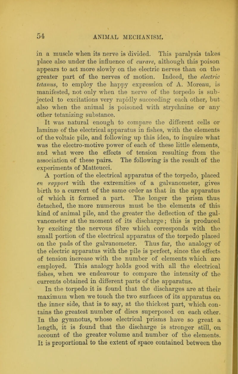 in a muscle when its nerve is divided. This paralysis takes place also under the influence of curare, although this poison appears to act more slowly on the electric nerves than on the greater part of the nerves of motion. Indeed, the electric tetanus, to employ the happy expression of A. Moreau, is manifested, not only when the nerve of the torpedo is sub- jected to excitations very rapidly succeeding each other, but also when the animal is poisoned with strychnine or any other tetanizing substance. It was natural enough to compare the different cells or lam in a3 of the electrical apparatus in fishes, with the elements of the voltaic pile, and following up this idea, to inquire what was the electro-motive power of each of these little elements, and what were the effects of tension resulting from the association of these pairs. The following is the result of the experiments of Matteucci. A portion of the electrical apparatus of the torpedo, placed en rapport wTith the extremities of a galvanometer, gives birth to a current of the same order as that in the apparatus of which it formed a part. The longer the prism thus detached, the more numerous must be the elements of this kind of animal pile, and the greater the deflection of the gal- vanometer at the moment of its discharge; this is produced by exciting the nervous fibre which corresponds with the small portion of the electrical apparatus of the torpedo placed on the pads of the galvanometer. Thus far, the analogy of the electric apparatus with the pile is perfect, since the effects of tension increase with the number of elements which are employed. This analogy holds good with all the electrical fishes, when we endeavour to compare the intensity of the currents obtained in different parts of the apparatus. In the torpedo it is found that the discharges are at their maximum whon we touch the two surfaces of its apparatus on the inner side, that is to say, at the thickest part, which con- tains the greatest number of discs superposed on each other. In the gymnotus, whose electrical prisms have so great a length, it is found that the discharge is stronger still, on account of the greater volume and number of the elements. It is proportional to the extent of space contained between the