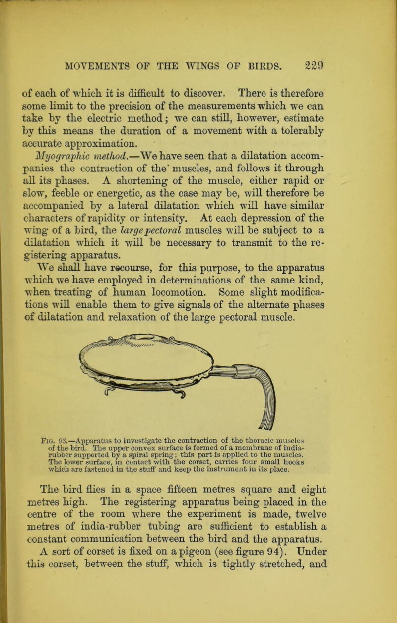 of each of which it is difficult to discover. There is therefore some limit to the precision of the measurements which we can take by the electric method; we can still, however, estimate by this means the duration of a movement with a tolerably accurate approximation. Myographic method.—We have seen that a dilatation accom- panies the contraction of the' muscles, and follows it through all its phases. A shortening of the muscle, either rapid or slow, feeble or energetic, as the case may be, will therefore be accompanied by a lateral dilatation which will have similar characters of rapidity or intensity. At each depression of the wing of a bird, the large pectoral muscles will be subject to a dilatation which it will be necessary to transmit to the re- gistering apparatus. We shall have recourse, for this purpose, to the apparatus which we have employed in determinations of the same kind, when treating of human locomotion. Some slight modifica- tions will enable them to give signals of the alternate phases of dilatation and relaxation of the large pectoral muscle. Fig. 93.—Apparatus to investigate the contraction of the thoracic muscles of the bird. The upper convex surface is formed of a membrane of india- rubber supported by a spiral spring; this part is applied to the muscles. The lower surface, in contact with the corset, carries four small hooks ■which are fastened in the stuff and keep the instrument in its place. The bird flies in a space fifteen metres square and eight metres high. The registering apparatus being placed in the centre of the room where the experiment is made, twelve metres of india-rubber tubing are sufficient to establish a constant communication between the bird and the apparatus. A sort of corset is fixed on a pigeon (see figure 94). Under this corset, between the stuff, which is tightly stretched, and