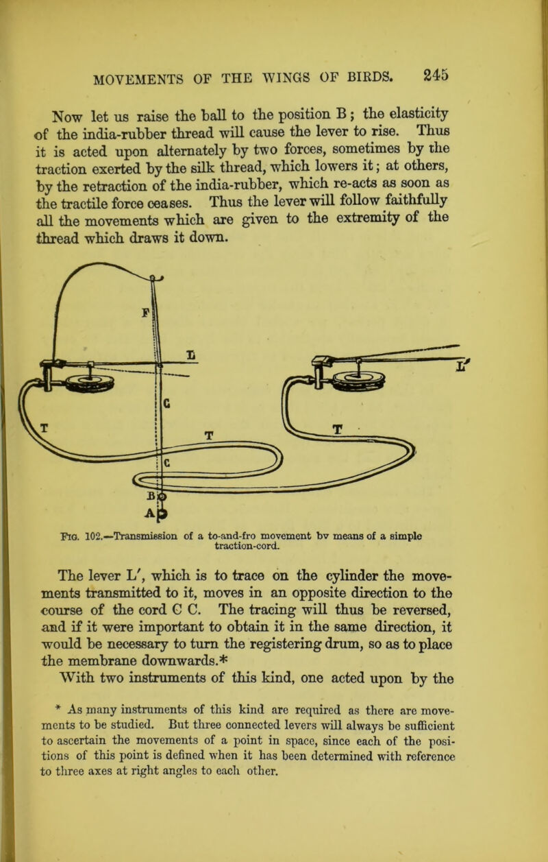 Now let us raise the ball to the position B ; the elasticity of the india-rubber thread will cause the lever to rise. Ihus it is acted upon alternately by two forces, sometimes by the traction exerted by the silk thread, which lowers it; at others, by the retraction of the india-rubber, which re-acts as soon as the tractile force ceases. Thus the lever will follow faithfully nil the movements which are given to the extremity of the thread which draws it down. The lever L', which is to trace on the cylinder the move- ments transmitted to it, moves in an opposite direction to the course of the cord G C. The tracing will thus be reversed, and if it were important to obtain it in the same direction, it would be necessary to turn the registering drum, so as to place the membrane downwards.* With two instruments of this kind, one acted upon by the * As many instruments of this kind are required as there are move- ments to be studied. But three connected levers will always be sufficient to ascertain the movements of a point in space, since each of the posi- tions of this point is defined when it has been determined with reference to three axes at right angles to each other.