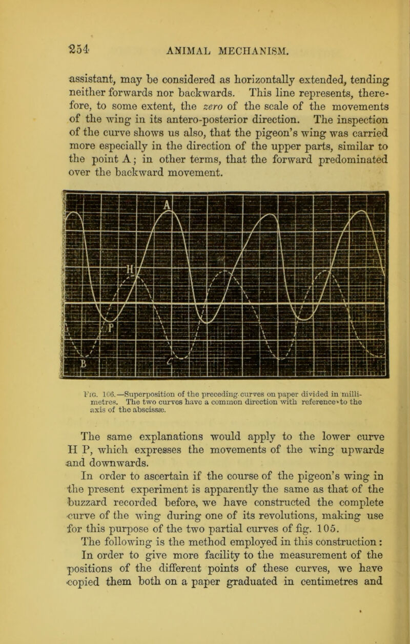 assistant, may be considered as horizontally extended, tending neither forwards nor backwards. This line represents, there- fore, to some extent, the zero of the scale of the movements of the vring in its antero-posterior direction. The inspection of the curve shows us also, that the pigeon’s wung wras carried more especially in the direction of the upper parts, similar to the point A; in other terms, that the forward predominated over the backward movement. Fig. 106.—Superposition of the preceding curves on paper divided in milli- metres. The two curves have a common direction with reference*to the axis of the abscissa;. The same explanations would apply to the lower curve H P, which expresses the movements of the wing upwards ■and downwards. In order to ascertain if the course of the pigeon’s wing in the present experiment is apparently the same as that of the buzzard recorded before, we have constructed the complete curve of the wing during one of its revolutions, making use for this purpose of the two partial curves of fig. 105. The following is the method employed in this construction: In order to give more facility to the measurement of the positions of the different points of these curves, we have copied them both on a paper graduated in centimetres and