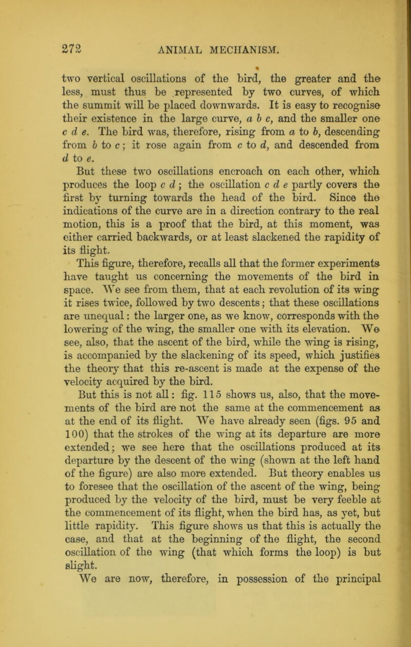 two vertical oscillations of the bird, the greater and the less, must thus be represented by two curves, of which the summit will be placed downwrards. It is easy to recognise their existence in the large curve, a b c, and the smaller one c d e. Tlxe bird was, therefore, rising from a to b, descending from b to c; it rose again from c to d, and descended from d to e. But these two oscillations encroach on each other, which produces the loop c d ; the oscillation c d e partly covers the first by turning towards the head of the bird. Since tho indications of the curve are in a direction contrary to the real motion, this is a proof that the bird, at this moment, was either carried backwards, or at least slackened the rapidity of its flight. This figure, therefore, recalls all that the former experiments have taught us concerning the movements of the bird in space. We see from them, that at each revolution of its wing it rises twice, followed by two descents; that these oscillations are unequal: the larger one, as we know, corresponds with the lowering of the wing, the smaller one with its elevation. Wo see, also, that the ascent of the bird, while the wing is rising, is accompanied by the slackening of its speed, which justifies the theory that this re-ascent is made at the expense of the velocity acquired by the bird. But this is not all: fig. 115 shows us, also, that the move- ments of the bird are not the same at the commencement as at the end of its flight. We have already seen (figs. 95 and 100) that the strokes of the wing at its departure are more extended; we see here that the oscillations produced at its departure by the descent of the wing (shown at the left hand of the figure) are also more extended. But theory enables us to foresee that the oscillation of the ascent of the wing, being produced by the velocity of the bird, must be very feeble at the commencement of its flight, when the bird has, as yet, but little rapidity. This figure shows us that this is actually the case, and that at the beginning of the flight, the second oscillation of the -wing (that which forms the loop) is but slight. We are now, therefore, in possession of the principal