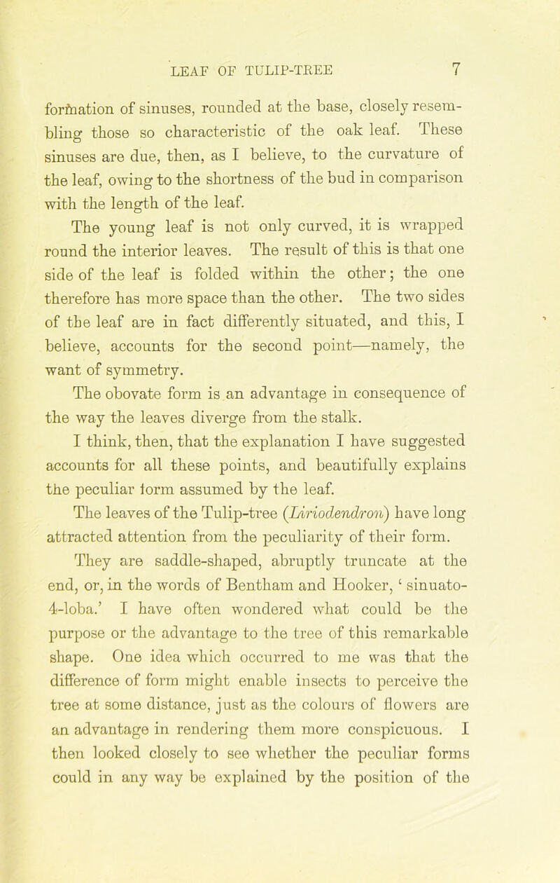 fortnation of sinuses, rounded at tlie base, closely resem- bling those so characteristic of the oak leaf. These sinuses are due, then, as I believe, to the curvature of the leaf, owing to the shortness of the bud in comparison witli the length of the leaf. The young leaf is not only curved, it is wrapped round the interior leaves. The result of this is that one side of the leaf is folded within the other; the one therefore has more space than the other. The two sides of the leaf are in fact differently situated, and this, I believe, accounts for the second point—namely, the want of symmetry. The obovate form is an advantage in consequence of the way the leaves diverge from the stalk. I think, then, that the explanation I have suggested accounts for all these points, and beautifully explains the peculiar form assumed by the leaf. The leaves of the Tulip-tree ([Liriodendron) have long attracted attention from the peculiarity of their form. They are saddle-shaped, abruptly truncate at the end, or, in the words of Bentham and Hooker, ‘ sinuato- 4-loba.’ I have often wondered what could be the purpose or the advantage to the tree of this remarkable shape. One idea which occurred to me was that the difference of form might enable insects to perceive the tree at some distance, j ust as the colours of flowers are an advantage in rendering them more conspicuous. I then looked closely to see whether the peculiar forms could in any way be explained by the position of the
