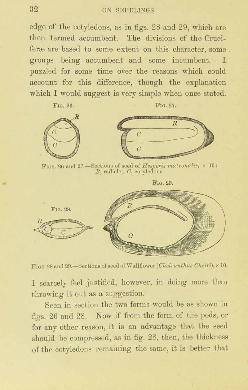 edge of the cotyledons, as in figs. 28 and 29, which are then termed accumbent. The divisions of the Cruci- ferge are based to some extent on this character, some groups being accumbent and some incumbent. I puzzled for some time over the reasons which could account for this difference, though the explanation which I would suggest is very simple when once stated. Fig. 26. Fig. 27. Figs. 26 and 27.—Sections of seed of Hesperia matronalis, x 10: B, radicle; C, cotyledons. Fig. 29. Figs. 28 and 29.—Sections of seed of Wallflower (Cheiranthus Cliciri), x 10. I scarcely feel justified, however, in doing more than throwing it out as a suggestion. Seen in section the two forms would be as shown in figs. 26 and 28. Now if from the form of the pods, or for any other reason, it is an advantage that the seed should be compressed, as in fig. 28, then, the thickness of the cotyledons remaining the same, it is better that