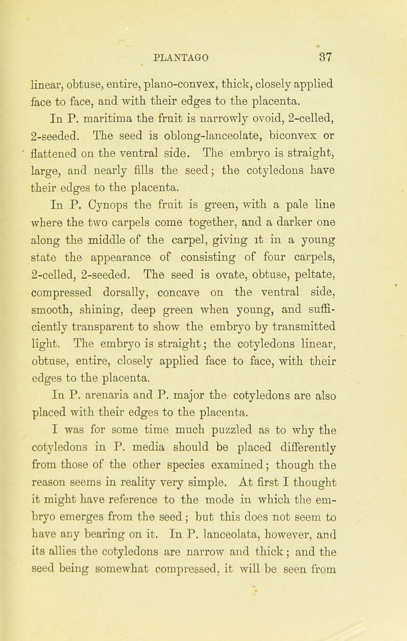 linear, obtuse, entire, plano-convex, thick, closely applied face to face, and with their edges to the placenta. In P. maritima the fruit is narrowly ovoid, 2-celled, 2-seeded. The seed is oblong-lanceolate, biconvex or flattened on the ventral side. The embryo is straight, large, and nearly fills the seed; the cotyledons have their edges to the placenta. In P. Cynops the fruit is green, with a pale line where the two carpels come together, and a darker one along the middle of the carpel, giving it in a young state the appearance of consisting of four carpels, 2-celled, 2-seeded. The seed is ovate, obtuse, peltate, compressed dorsally, concave on the ventral side, smooth, shining, deep green when young, and suffi- ciently transparent to show the embryo by transmitted light. The embryo is straight; the cotyledons linear, obtuse, entire, closely applied face to face, with their edges to the placenta. In P. arenaria and P. major the cotyledons are also placed with their edges to the placenta. I was for some time much puzzled as to why the cotyledons in P. media should be placed differently from those of the other species examined; though the reason seems in reality very simple. At first I thought it might have reference to the mode in which the em- bryo emerges from the seed; but this does not seem to have any bearing on it. In P. lanceolata, however, and its allies the cotyledons are narrow and thick; and the seed being somewhat compressed, it will be seen from