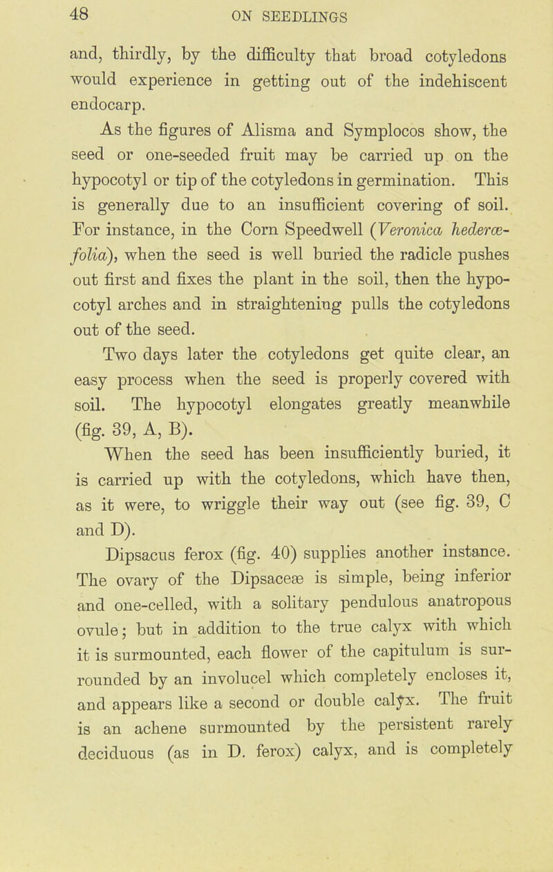 and, thirdly, by the difficulty that broad cotyledons would experience in getting out of the indehiscent endocarp. As the figures of Alisma and Symplocos show, the seed or one-seeded fruit may be carried up on the hypocotyl or tip of the cotyledons in germination. This is generally due to an insufficient covering of soil. For instance, in the Corn Speedwell (Veronica hederce- folia), when the seed is well buried the radicle pushes out first and fixes the plant in the soil, then the hypo- cotyl arches and in straightening pulls the cotyledons out of the seed. Two days later the cotyledons get quite clear, an easy process when the seed is properly covered with soil. The hypocotyl elongates greatly meanwhile (fig. 39, A, B). When the seed has been insufficiently buried, it is carried up with the cotyledons, which have then, as it were, to wriggle their way out (see fig. 39, C and D). Dipsacus ferox (fig. 40) supplies another instance. The ovary of the Dipsaceae is simple, being inferior and one-celled, with a solitary pendulous anatropous ovule; but in addition to the true calyx with which it is surmounted, each flower of the capitulum is sur- rounded by an involucel which completely encloses it, and appears like a second or double calyx. The fruit is an achene surmounted by the persistent rarely deciduous (as in D. ferox) calyx, and is completely