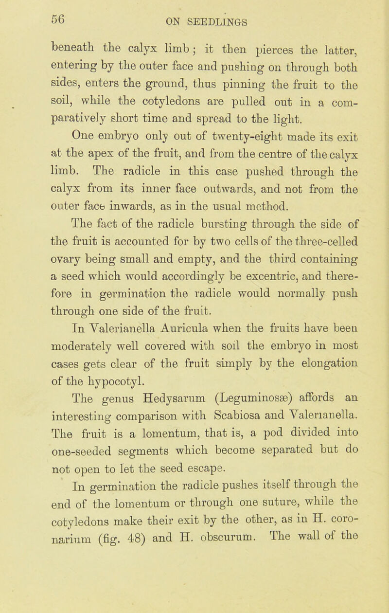 beneath the calyx limb; it then pierces the latter, entering by the outer face and pushing on through both sides, enters the ground, thus pinning the fruit to the soil, while the cotyledons are pulled out in a com- paratively short time and spread to the light. One embryo only out of twenty-eight made its exit at the apex of the fruit, and from the centre of the calyx limb. The radicle in this case pushed through the calyx from its inner face outwards, and not from the outer face inwards, as in the usual method. The fact of the radicle bursting through the side of the fruit is accounted for by two cells of the three-celled ovary being small and empty, and the third containing a seed which would accordingly be excentric, and there- fore in germination the radicle would normally push through one side of the fruit. In Valerianella Auricula when the fruits have been moderately well covered with sod the embryo in most cases gets clear of the fruit simply by the elongation of the hypocotyl. The genus Hedysarum (Leguminosse) affords an interesting comparison with Scabiosa and Valeriauella. The fruit is a lomentum, that is, a pod divided into one-seeded segments which become separated but do not open to let the seed escape. In germination the radicle pushes itself through the end of the lomentum or through one suture, while the cotyledons make their exit by the other, as in H. coro- narimn (fig. 48) and H. obscurum. The wall of the