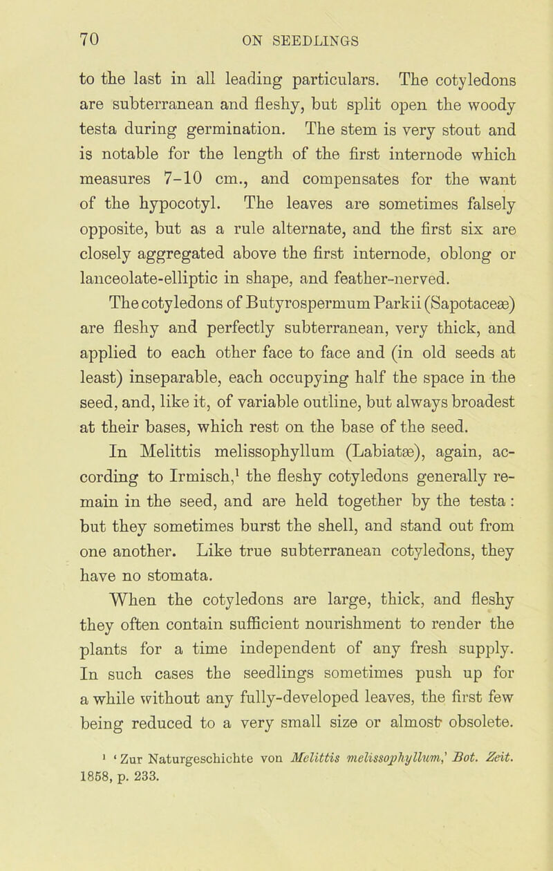 to the last in all leading particulars. The cotyledons are subterranean and fleshy, but split open the woody testa during germination. The stem is very stout and is notable for the length of the first internode which measures 7-10 cm., and compensates for the want of the hypocotyl. The leaves are sometimes falsely opposite, but as a rule alternate, and the first six are closely aggregated above the first internode, oblong or lanceolate-elliptic in shape, and feathex*-nerved. The cotyledons of Butyrospermum Parkii (Sapotaceae) are fleshy and perfectly subterranean, very thick, and applied to each other face to face and (in old seeds at least) inseparable, each occupying half the space in the seed, and, like it, of variable outline, but always broadest at their bases, which rest on the base of the seed. In Melittis melissophyllum (Labiatse), again, ac- cording to Irmisch,1 the fleshy cotyledons generally re- main in the seed, and are held together by the testa : but they sometimes burst the shell, and stand out from one another. Like true subterranean cotyledons, they have no stomata. When the cotyledons are large, thick, and fleshy they often contain sufficient nourishment to render the plants for a time independent of any fresh supply. In such cases the seedlings sometimes push up for a while without any fully-developed leaves, the first few being reduced to a very small size or almost- obsolete. 1 ‘ Zur Naturgeschichte von Melittis melissophyllum,’ Bot. Zcit. 1868, p. 233.