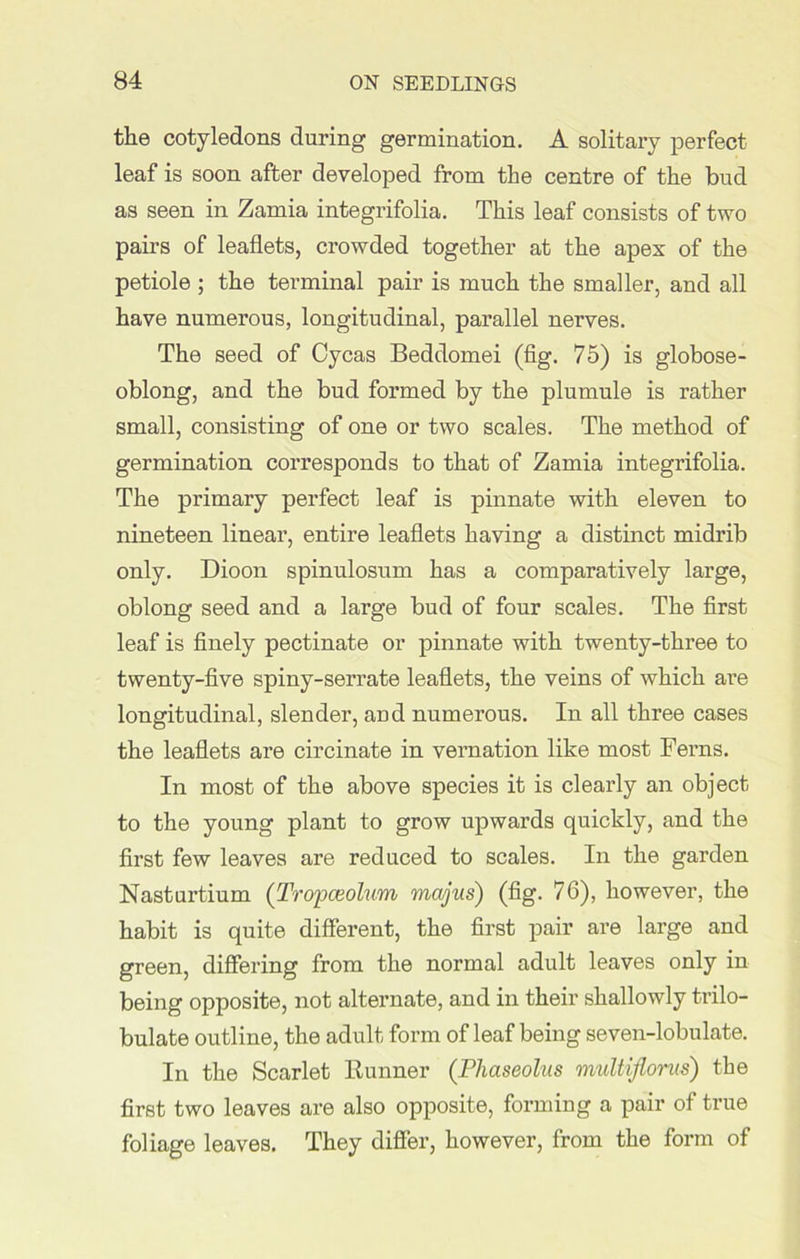 the cotyledons during germination. A solitary perfect leaf is soon after developed from the centre of the bud as seen in Zamia integrifolia. This leaf consists of two pairs of leaflets, crowded together at the apex of the petiole ; the terminal pair is much the smaller, and all have numerous, longitudinal, parallel nerves. The seed of Cycas Beddomei (fig. 75) is globose- oblong, and the bud formed by the plumule is rather small, consisting of one or two scales. The method of germination corresponds to that of Zamia integrifolia. The primary perfect leaf is pinnate with eleven to nineteen linear, entire leaflets having a distinct midrib only. Dioon spinulosum has a comparatively large, oblong seed and a large bud of four scales. The first leaf is finely pectinate or pinnate with twenty-three to twenty-five spiny-serrate leaflets, the veins of which are longitudinal, slender, and numerous. In all three cases the leaflets are circinate in vernation like most Ferns. In most of the above species it is clearly an object to the young plant to grow upwards quickly, and the first few leaves are reduced to scales. In the garden Nasturtium (Tropceolum majus) (fig. 76), however, the habit is quite different, the first pair are large and green, differing from the normal adult leaves only in being opposite, not alternate, and in their shallowly trilo- bulate outline, the adult form of leaf being seven-lobulate. In the Scarlet Runner (Phaseolus multijlonis) the first two leaves are also opposite, forming a pair of true foliage leaves. They differ, however, from the form of