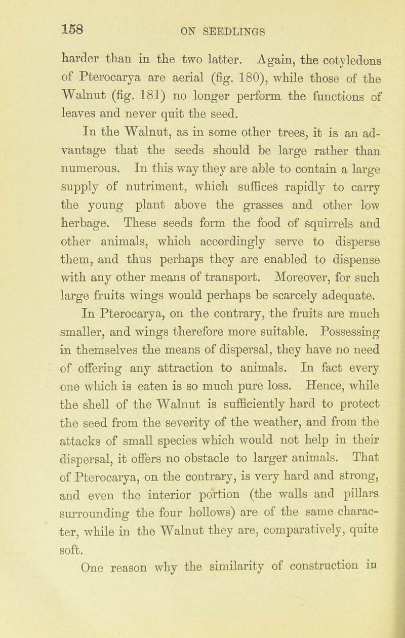 harder than in the two latter. Again, the cotyledons of Pterocarya are aerial (fig. 180), while those of the Walnut (fig. 181) no longer perform the functions of leaves and never quit the seed. In the Walnut, as in some other trees, it is an ad- vantage that the seeds should be large rather than numerous. In this way they are able to contain a large supply of nutriment, which suffices rapidly to carry the young plant above the grasses and other low herbage. These seeds form the food of squirrels and other animals, which accordingly serve to disperse them, and thus perhaps they are enabled to dispense with any other means of transport. Moreover, for such large fruits wings would perhaps be scarcely adequate. In Pterocarya, on the contrary, the fruits ai’e much smaller, and wings therefore more suitable. Possessing in themselves the means of dispersal, they have no need of offering any attraction to animals. In fact every one which is eaten is so much pure loss. Hence, while the shell of the Walnut is sufficiently hard to protect the seed from the severity of the weather, and from the attacks of small species which would not help in their dispersal, it offers no obstacle to larger animals. That of Pterocarya, on the contrary, is very hard and strong, and even the interior portion (the walls and pillars surrounding the four hollows) are of the same charac- ter, while in the Walnut they are, comparatively, quite soft. One reason why the similarity of construction in