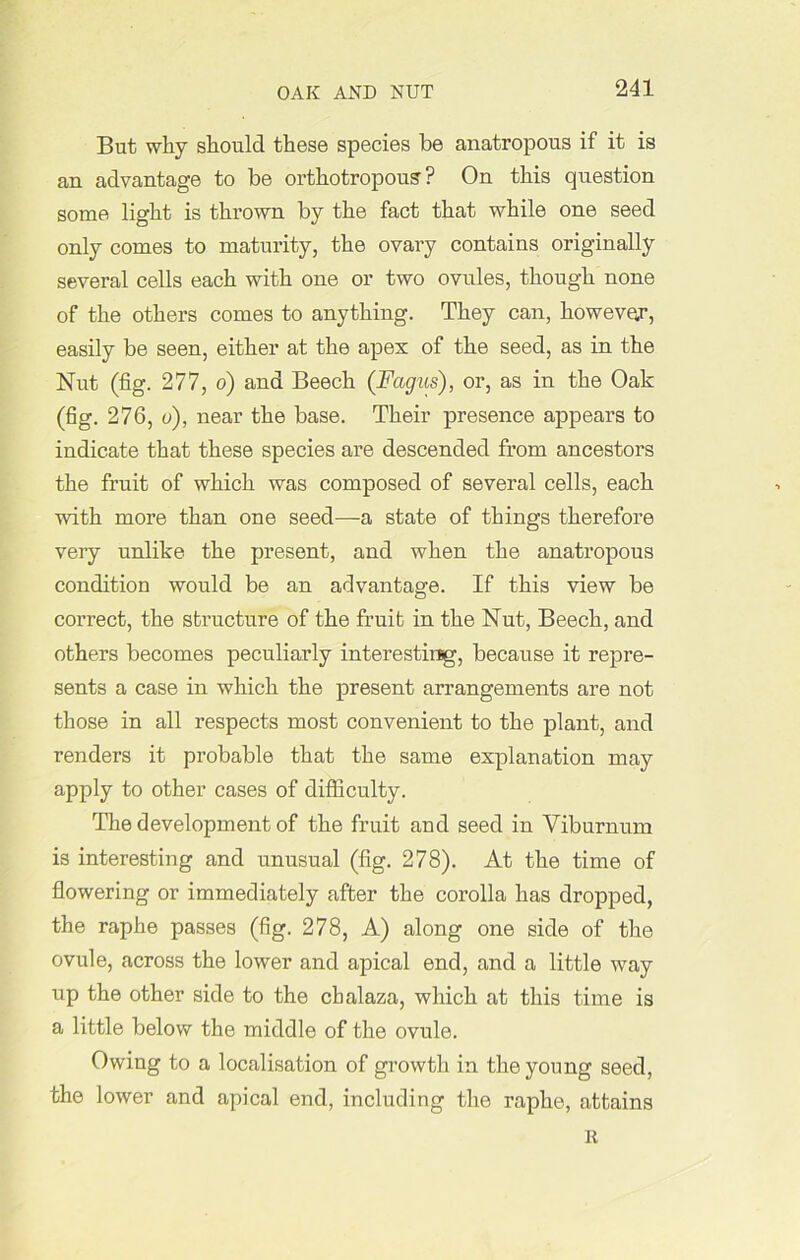 OAK AND NUT But why should these species he anatropous if it is an advantage to he orthotropous ? On this question some light is thrown by the fact that while one seed only comes to maturity, the ovary contains originally several cells each with one or two ovules, though none of the others comes to anything. They can, however, easily be seen, either at the apex of the seed, as in the Nut (fig. 277, o) and Beech ([Fcigus), or, as in the Oak (fig. 276, o), near the base. Their presence appears to indicate that these species are descended from ancestors the fruit of which was composed of several cells, each with more than one seed—a state of things therefore very unlike the present, and when the anatropous condition would be an advantage. If this view be correct, the structure of the fruit in the Nut, Beech, and others becomes peculiarly interesting, because it repre- sents a case in which the present arrangements are not those in all respects most convenient to the plant, and renders it probable that the same explanation may apply to other cases of difficulty. The development of the fruit and seed in Viburnum is interesting and unusual (fig. 278). At the time of flowering or immediately after the corolla has dropped, the raphe passes (fig. 278, A) along one side of the ovule, across the lower and apical end, and a little way up the other side to the chalaza, which at this time is a little below the middle of the ovule. Owing to a localisation of growth in the young seed, the lower and apical end, including the raphe, attains it