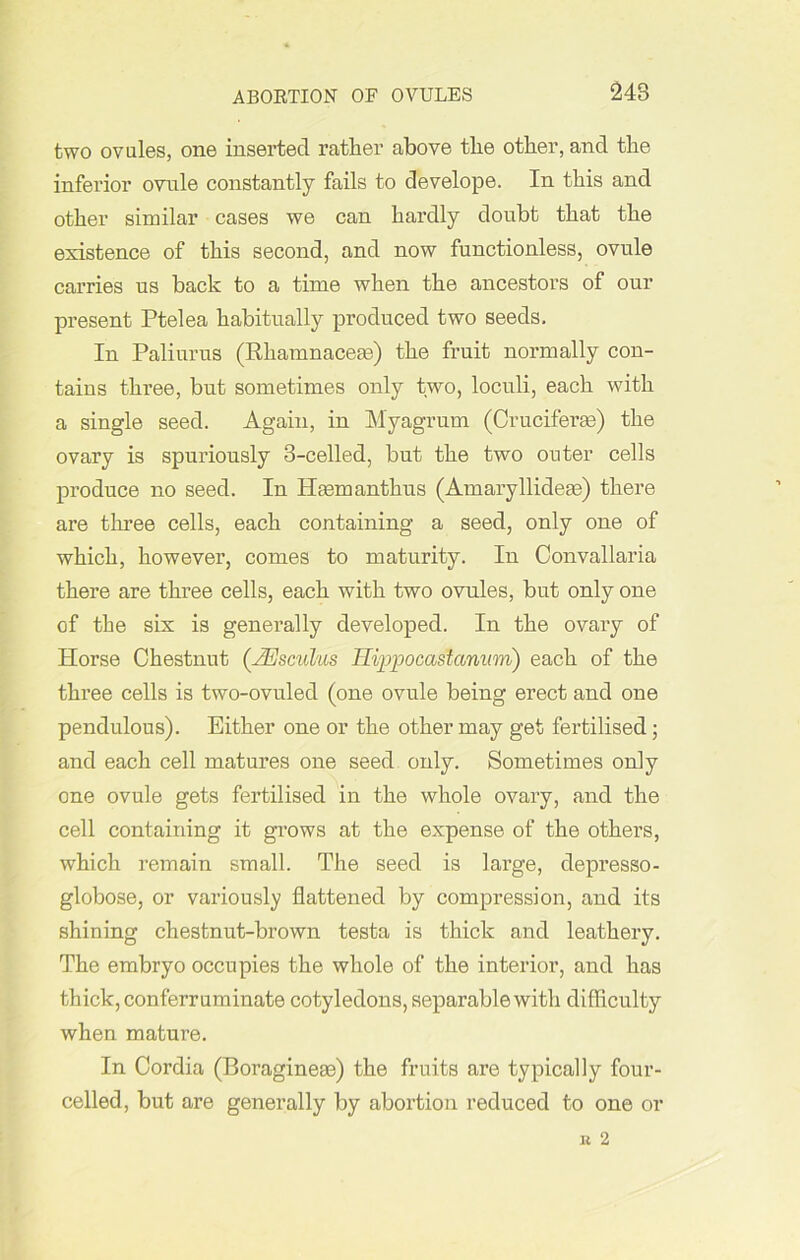 ABORTION OF OVULES two ovules, one inserted rather above the other, and the inferior ovule constantly fails to develope. In this and other similar cases we can hardly doubt that the existence of this second, and now functionless, ovule carries us back to a time when the ancestors of our present Ptelea habitually produced two seeds. In Paliurus (Rhamnaceas) the fruit normally con- tains three, but sometimes only two, loculi, each with a single seed. Again, in Myagrum (Crucifer33) the ovary is spuriously 3-celled, but the two outer cells produce no seed. In Haemanthus (Amaryllideae) there are three cells, each containing a seed, only one of which, however, comes to maturity. In Convallaria there are three cells, each with two ovules, but only one of the six is generally developed. In the ovary of Horse Chestnut (JEsculus Hippocaslct/num) each of the three cells is two-ovuled (one ovule being erect and one pendulous). Either one or the other may get fertilised; and each cell matures one seed only. Sometimes only one ovule gets fertilised in the whole ovary, and the cell containing it grows at the expense of the others, which remain small. The seed is large, depresso- globose, or variously flattened by compression, and its shining chestnut-brown testa is thick and leathery. The embryo occupies the whole of the interior, and has thick, conferruminate cotyledons, separable with difficulty when mature. In Cordia (Boragineae) the fruits are typically four- celled, but are generally by abortion reduced to one or