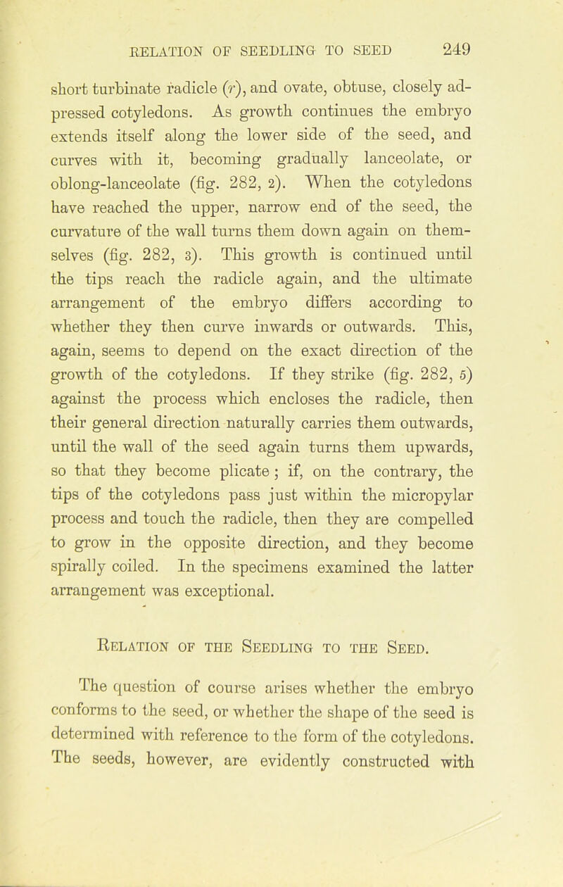 short turbinate radicle (r), and ovate, obtuse, closely ad- pressed cotyledons. As growth continues the embryo extends itself along the lower side of the seed, and curves with it, becoming gradually lanceolate, or oblong-lanceolate (fig. 282, 2). When the cotyledons have reached the upper, narrow end of the seed, the curvature of the wall turns them down again on them- selves (fig. 282, 3). This growth is continued until the tips reach the radicle again, and the ultimate arrangement of the embryo differs according to whether they then curve inwards or outwards. This, again, seems to depend on the exact direction of the growth of the cotyledons. If they strike (fig. 282, 5) against the process which encloses the radicle, then their general direction naturally carries them outwards, until the wall of the seed again turns them upwards, so that they become plicate ; if, on the contrary, the tips of the cotyledons pass just within the micropylar process and touch the radicle, then they are compelled to grow in the opposite direction, and they become spirally coiled. In the specimens examined the latter arrangement was exceptional. Relation of the Seedling to the Seed. The question of course arises whether the embryo conforms to the seed, or whether the shape of the seed is determined with reference to the form of the cotyledons. The seeds, however, are evidently constructed with