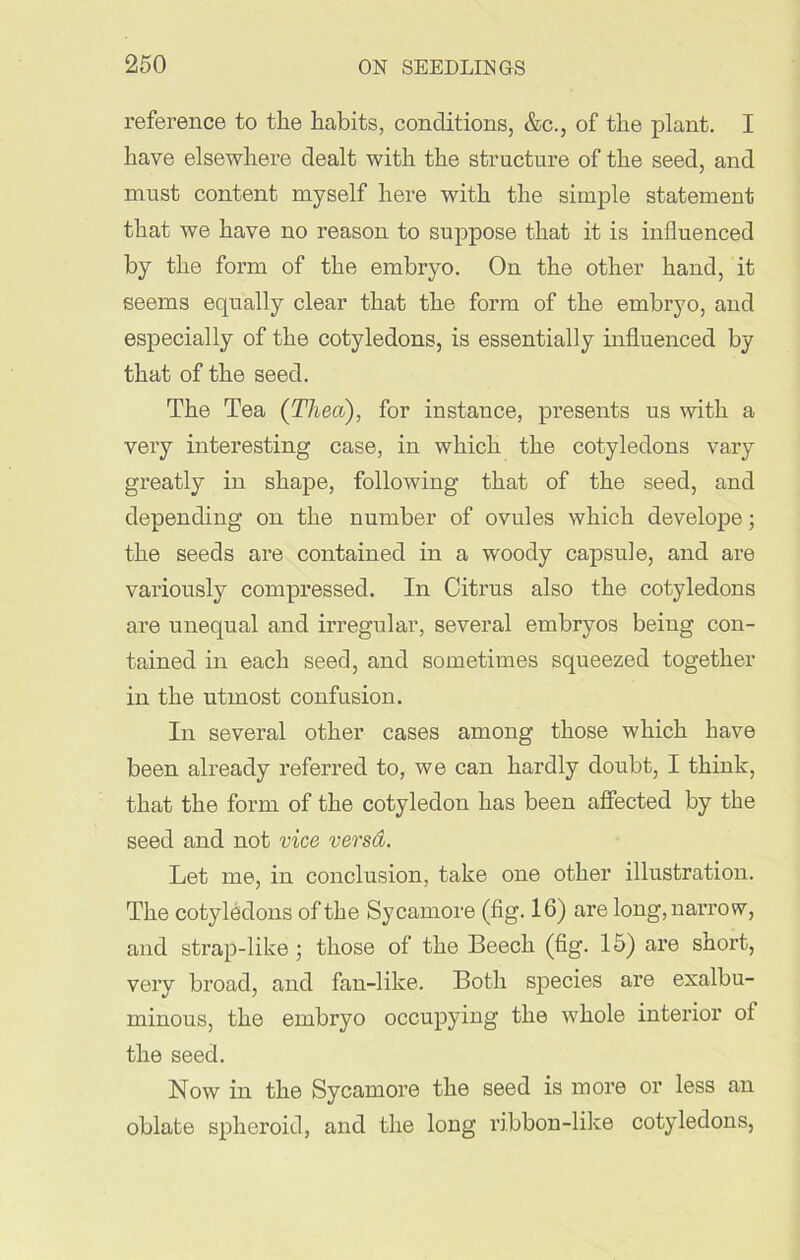 reference to the habits, conditions, &c., of the plant. I have elsewhere dealt with the structure of the seed, and must content myself here with the simple statement that we have no reason to suppose that it is influenced by the form of the embryo. On the other hand, it seems equally clear that the form of the embryo, and especially of the cotyledons, is essentially influenced by that of the seed. The Tea (Thea), for instance, presents us with a very interesting case, in which the cotyledons vary greatly in shape, following that of the seed, and depending on the number of ovules which develope; the seeds are contained in a woody capsule, and are variously compressed. In Citrus also the cotyledons are unequal and irregular, several embryos being con- tained in each seed, and sometimes squeezed together in the utmost confusion. In several other cases among those which have been already referred to, we can hardly doubt, I think, that the form of the cotyledon has been affected by the seed and not vice versa. Let me, in conclusion, take one other illustration. The cotyledons of the Sycamore (fig. 16) are long, narrow, and strap-like ; those of the Beech (fig. 15) are short, very broad, and fan-like. Both species are exalbu- minous, the embryo occupying the whole interior of the seed. Now in the Sycamore the seed is more or less an oblate spheroid, and the long ribbon-like cotyledons,