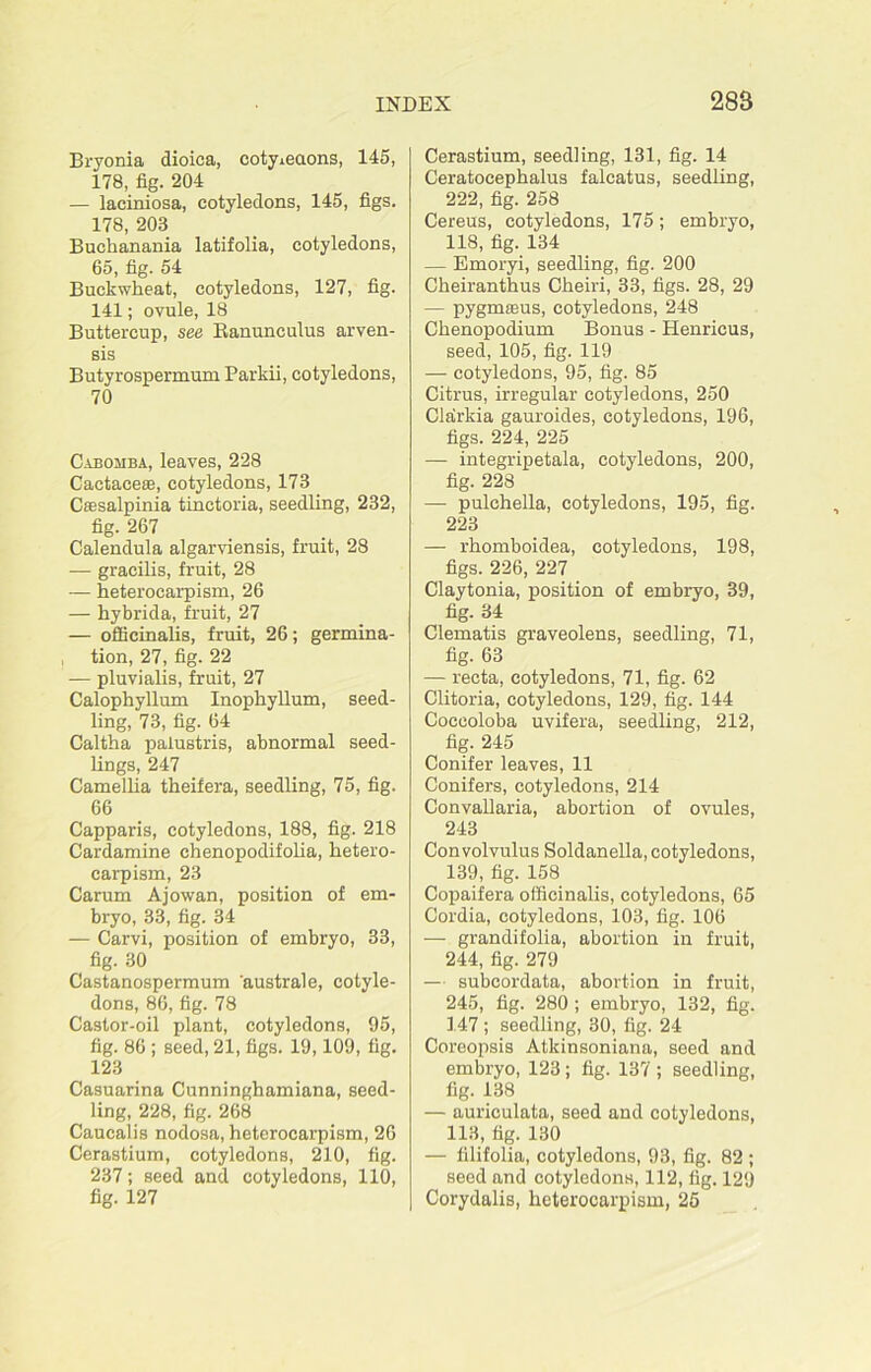Bryonia dioica, cotyledons, 145, 178, fig. 204 — laciniosa, cotyledons, 145, figs. 178, 203 Buchanania latifolia, cotyledons, 65, fig. 54 Buckwheat, cotyledons, 127, fig. 141; ovule, 18 Buttercup, see Banunculus arven- sis Butyrospermum Parkii, cotyledons, 70 Cabomba, leaves, 228 Caetaeeaa, cotyledons, 173 Cassalpinia tinctoria, seedling, 232, fig. 267 Calendula algarviensis, fruit, 28 — gracilis, fruit, 28 — heterocarpism, 26 — hybrida, fruit, 27 — officinalis, fruit, 26; germina- tion, 27, fig. 22 — pluvialis, fruit, 27 Calophyllum Inophyllum, seed- ling, 73, fig. 64 Caltha palustris, abnormal seed- lings, 247 Camellia theifera, seedling, 75, fig. 66 Capparis, cotyledons, 188, fig. 218 Cardamine chenopodifolia, hetero- carpism, 23 Carum Ajowan, position of em- bryo, 33, fig. 34 — Carvi, position of embryo, 33, fig. 30 Castanospermum 'australe, cotyle- dons, 86, fig. 78 Castor-oil plant, cotyledons, 95, fig. 86 ; seed, 21, figs. 19,109, fig. 123 Casuarina Cunninghamiana, seed- ling, 228, fig. 268 Caucalis nodosa, heterocarpism, 26 Cerastium, cotyledons, 210, fig. 237; seed and cotyledons, 110, fig. 127 Cerastium, seedling, 131, fig. 14 Ceratocephalus falcatus, seedling, 222, fig. 258 Cereus, cotyledons, 175; embryo, 118, fig. 134 — Emoryi, seedling, fig. 200 Cheiranthus Cheiri, 33, figs. 28, 29 — pygmsus, cotyledons, 248 Chenopodium Bonus - Henricus, seed, 105, fig. 119 — cotyledons, 95, fig. 85 Citrus, irregular cotyledons, 250 Clarkia gauroides, cotyledons, 196, figs. 224, 225 — integripetala, cotyledons, 200, fig. 228 — pulchella, cotyledons, 195, fig. 223 — rhomboidea, cotyledons, 198, figs. 226, 227 Claytonia, position of embryo, 39, fig- 64 Clematis graveolens, seedling, 71, fig. 63 — recta, cotyledons, 71, fig. 62 Clitoria, cotyledons, 129, fig. 144 Coeeoloba uvifera, seedling, 212, fig. 245 Conifer leaves, 11 Conifers, cotyledons, 214 Convallaria, abortion of ovules, 243 Convolvulus Soldanella, cotyledons, 139, fig. 158 Copaifera officinalis, cotyledons, 65 Cordia, cotyledons, 103, fig. 106 — grandifolia, abortion in fruit, 244, fig. 279 — subcordata, abortion in fruit, 245, fig. 280 ; embryo, 132, fig. 147 ; seedling, 30, fig. 24 Coreopsis Atkinsoniana, seed and embryo, 123; fig. 137 ; seedling, fig. 138 — auriculata, seed and cotyledons, 113, fig. 130 — filifolia, cotyledons, 93, fig. 82 ; seed and cotyledons, 112, fig. 129 Corydalis, heterocarpism, 25