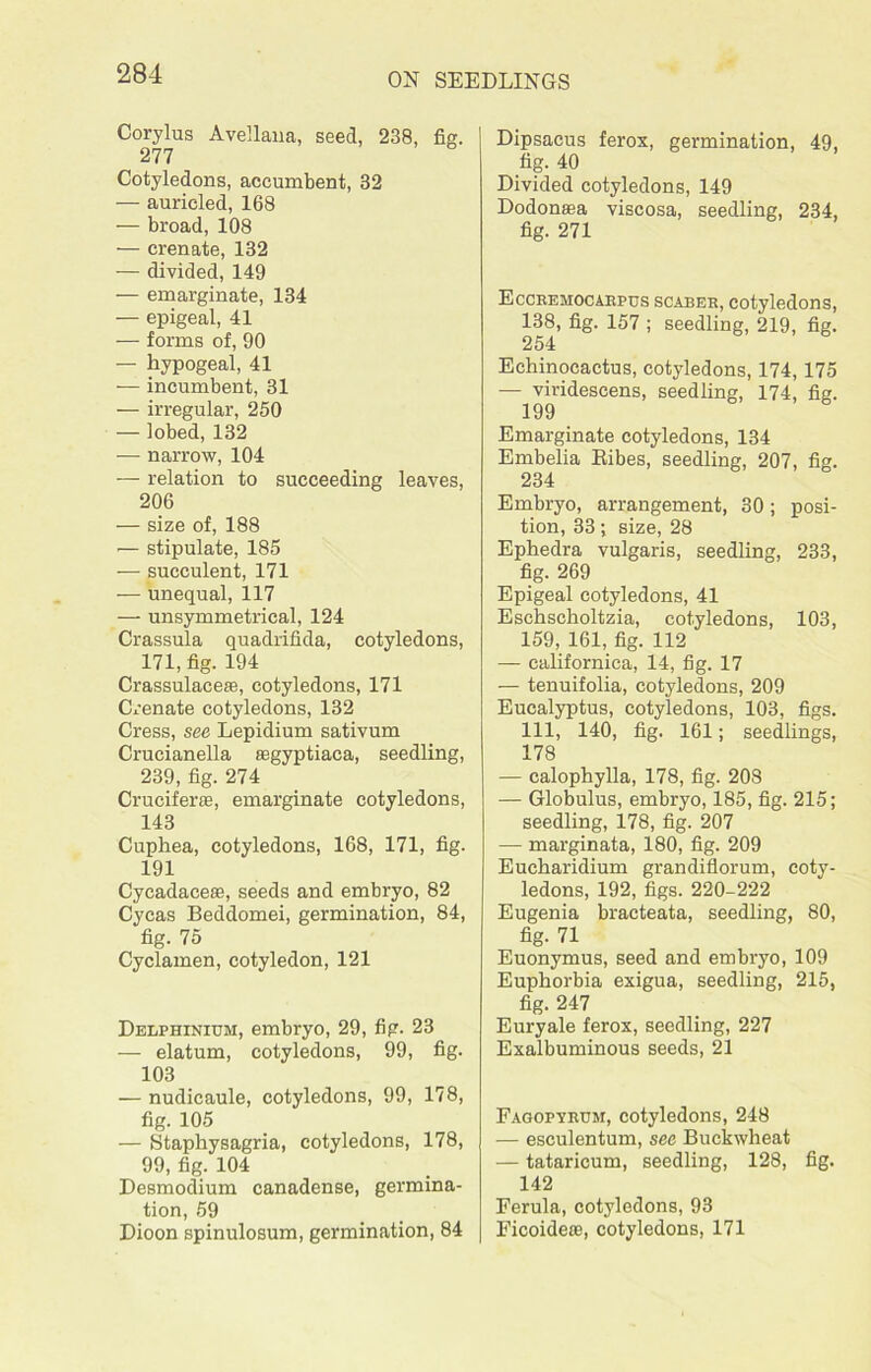 Corylus Avellana, seed, 238, fie. 277 Cotyledons, accumbent, 32 — auricled, 168 — broad, 108 — crenate, 132 — divided, 149 — emarginate, 134 — epigeal, 41 — forms of, 90 — hypogeal, 41 -— incumbent, 31 — irregular, 250 — lobed, 132 — narrow, 104 — relation to succeeding leaves, 206 — size of, 188 ■— stipulate, 185 — succulent, 171 — unequal, 117 — unsymmetrical, 124 Crassula quadrifida, cotyledons, 171, fig. 194 Crassulacese, cotyledons, 171 Crenate cotyledons, 132 Cress, see Lepidium sativum Crucianella segyptiaca, seedling, 239, fig. 274 Cruciferae, emarginate cotyledons, 143 Cuphea, cotyledons, 168, 171, fig. 191 Cycadaceae, seeds and embryo, 82 Cycas Beddomei, germination, 84, fig. 75 Cyclamen, cotyledon, 121 Delphinium, embryo, 29, fig. 23 — elatum, cotyledons, 99, fig. 103 — nudicaule, cotyledons, 99, 178, fig. 105 — Staphysagria, cotyledons, 178, 99, fig. 104 Desmodium canadense, germina- tion, 59 Dioon spinulosum, germination, 84 Dipsacus ferox, germination, 49, fig. 40 Divided cotyledons, 149 Dodonasa viscosa, seedling, 234, fig. 271 Eccremocarpus scabeb, cotyledons, 138, fig. 157 ; seedling, 219, fig. 254 Echinocactus, cotyledons, 174,175 — viridescens, seedling, 174, fig. 199 Emarginate cotyledons, 134 Embelia Bibes, seedling, 207, fig. 234 Embryo, arrangement, 30; posi- tion, 33; size, 28 Ephedra vulgaris, seedling, 233, fig. 269 Epigeal cotyledons, 41 Eschscholtzia, cotyledons, 103, 159, 161, fig. 112 — californica, 14, fig. 17 — tenuifolia, cotyledons, 209 Eucalyptus, cotyledons, 103, figs. Ill, 140, fig. 161; seedlings, 178 — calophylla, 178, fig. 208 — Globulus, embryo, 185, fig. 215; seedling, 178, fig. 207 — marginata, 180, fig. 209 Eucharidium grandiflorum, coty- ledons, 192, figs. 220-222 Eugenia bracteata, seedling, 80, fig- 71 Euonymus, seed and embryo, 109 Euphorbia exigua, seedling, 215, fig. 247 Euryale ferox, seedling, 227 Exalbuminous seeds, 21 Fagopyrum, cotyledons, 248 — esculentum, see Buckwheat — tataricum, seedling, 128, fig. 142 Ferula, cotyledons, 93 Ficoidese, cotyledons, 171
