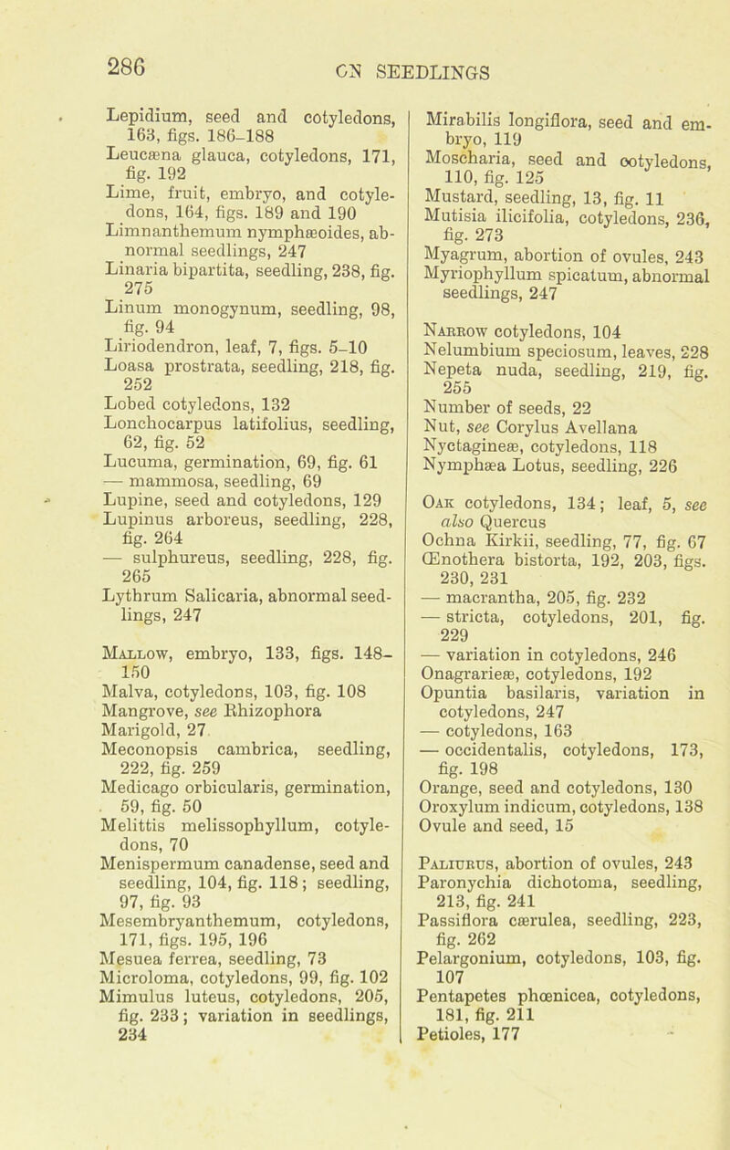 Lepidium, seed and cotyledons, 163, figs. 186-188 Leucfflna glauca, cotyledons, 171, fig. 192 Lime, fruit, embryo, and cotyle- dons, 164, figs. 189 and 190 Limnanthemum nympheeoides, ab- normal seedlings, 247 Linaria bipartita, seedling, 238, fig. 275 Linum monogynum, seedling, 98, fig. 94 Liriodendron, leaf, 7, figs. 5-10 Loasa prostrata, seedling, 218, fig. 252 Lobed cotyledons, 132 Lonchocarpus latifolius, seedling, 62, fig. 52 Lucuma, germination, 69, fig. 61 — mammosa, seedling, 69 Lupine, seed and cotyledons, 129 Lupinus arboreus, seedling, 228, fig. 264 — sulphureus, seedling, 228, fig. 265 Lythrum Salicaria, abnormal seed- lings, 247 Mallow, embryo, 138, figs. 148- 150 Malva, cotyledons, 103, fig. 108 Mangrove, see Bhizoplrora Marigold, 27 Meconopsis cambrica, seedling, 222, fig. 259 Medicago orbicularis, germination, 59, fig. 50 Melittis melissophyllum, cotyle- dons, 70 Menispermum canadense, seed and seedling, 104, fig. 118; seedling, 97, fig. 93 Mesembryanthemum, cotyledons, 171, figs. 195, 196 Mesuea ferrea, seedling, 73 Microloma, cotyledons, 99, fig. 102 Mimulus luteus, cotyledons, 205, fig. 233; variation in seedlings, 234 Mirabilis longiflora, seed and em- bryo, 119 Moscharia, seed and ootyledons, 110, fig. 125 Mustard, seedling, 13, fig. 11 Mutisia ilicifolia, cotyledons, 236, fig. 273 Myagrum, abortion of ovules, 243 Myriophyllum spicatum, abnormal seedlings, 247 Naeeow cotyledons, 104 Nelumbium speciosum, leaves, 228 Nepeta nuda, seedling, 219, fig. 255 Number of seeds, 22 Nut, see Corylus Avellana Nyctagineaj, cotyledons, 118 Nympha?a Lotus, seedling, 226 Oak cotyledons, 134; leaf, 5, see also Quercus Ochna Kirkii, seedling, 77, fig. 67 CEnothera bistorta, 192, 203, figs. 230, 231 — macrantha, 205, fig. 232 — stricta, cotyledons, 201, fig. 229 — variation in cotyledons, 246 Onagrarieffi, cotyledons, 192 Opuntia basilaris, variation in cotyledons, 247 — cotyledons, 163 — occidentalis, cotyledons, 173, fig. 198 Orange, seed and cotyledons, 130 Oroxylum indicum, cotyledons, 138 Ovule and seed, 15 Paliukus, abortion of ovules, 243 Paronychia dichotoma, seedling, 213, fig. 241 Passiflora cterulea, seedling, 223, fig. 262 Pelargonium, cotyledons, 103, fig. 107 Pentapetes phcenicea, cotyledons, 181, fig. 211 Petioles, 177