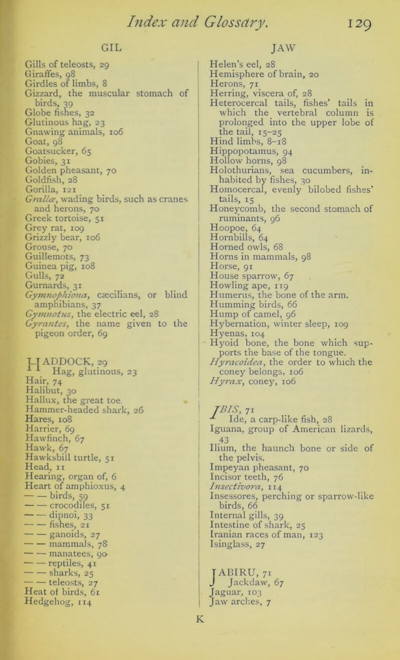 GIL Gills of teleosts, 29 Giraffes, 98 Girdles of limbs, 8 Gizzard, the muscular stomach of birds, 39 Globe fishes, 32 Glutinous hag, 23 Gnawing animals, 106 Goat, 98 Goatsucker, 65 Gobles, 31 Golden pheasant, 70 Goldfish, 28 Gorilla, 121 GraUce, wading birds, such as cranes and herons, 70 Greek tortoise, 51 Grey rat, 109 Grizzly bear, 106 Grouse, 70 Guillemots, 73 Guinea pig, 108 Gulls, 72 Gurnards, 31 Gymnophiona, czecilians, or blind amphibians, 37 Gymnotns, the electric eel, 28 Gyrautes, the name given to the pigeon order, 69 l-TADDOCK, 29 ^ Hag, glutinous, 23 Hair, 74 Halibut, 30 Hallux, the great toe. Hammer-headed shark, 26 Hares, 108 Harrier, 69 Hawfinch, 67 Hawk, 67 Hawksbill turtle, 51 Head, ii Hearing, organ of, 6 Heart of amphioxus, 4 birds, 59 crocodiles, 51 dipnoi, 33 fishes, 21 ganoids, 27 mammals, 78 manatees, go reptiles, 41 sharks, 25 teleosts, 27 Heat of birds, 61 Hedgehog, 114 JAW Helen’s eel, 28 Hemisphere of brain, 20 Herons, 71 Herring, viscera of, 28 Heterocercal tails, fishes’ tails in which the vertebral column is prolonged into the upper lobe of the tail, 15-25 Hind limbs, 8-18 Hippopotamus, 94 Hollow horns, 98 Holothurians, sea cucumbers, in- habited by fishes, 30 Homocercal, evenly bilobed fishes’ tails, 15 Honeycomb, the second stomach of ruminants, 96 Hoopoe, 64 Hornbills, 64 Horned owls, 68 Horns in mammals, 98 Horse, 91 House sparrow, 67 Howling ape, iig Humerus, the bone of the arm. Humming birds, 66 Hump of camel, 96 Hybernation, winter sleep, 109 Hyenas, 104 Hyoid bone, the bone which sup- ports the base of the tongue. Hyracoidea, the order to which the coney belongs, 106 Hyrax, coney, 106 TBIS, 71 Ide, a carp-like fish, 28 Iguana, group of American lizards, 43 Ilium, the haunch bone or side of the pelvis. Imjjeyan pheasant, 70 Inci.sor teeth, 76 Inscctivora, 114 In.sessores, perching or sparrow-like birds, 66 Internal gills, 39 Intestine of shark, 25 Iranian races of man, 123 Isinglass, 27 TAIIIRU, 71 J Jackdaw, 67 Jaguar, 103 Jaw arches, 7 K