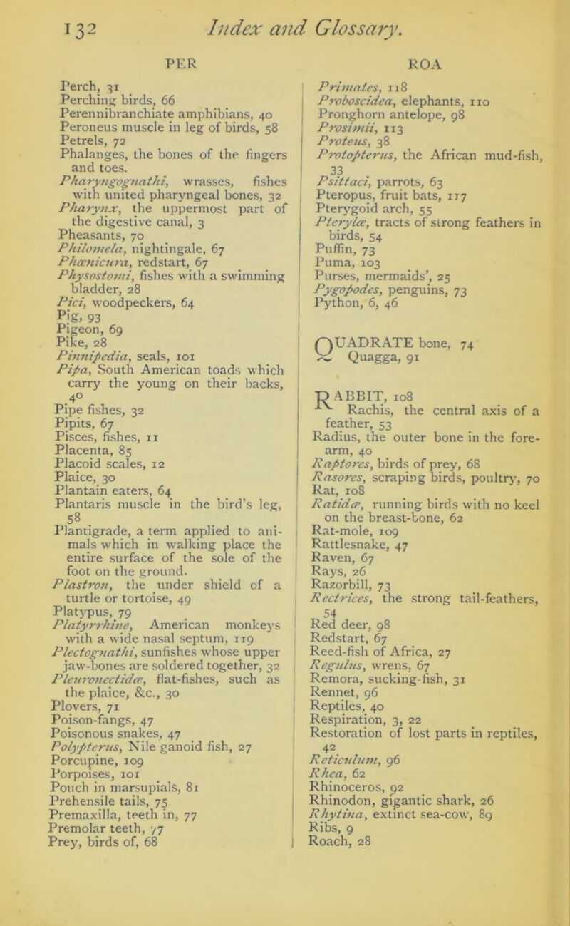 PER Perch, 31 Perching birds, 66 Perennibranchiate amphibians, 40 Peroneus muscle in leg of birds, 58 Petrels, 72 Phalanges, the bones of the fingers and toes. rharyngopiathi, wrasses, fishes with united pharyngeal bones, 32 Pharynx, the uppermost part of the digestive canal, 3 Pheasants, 70 Philomela, nightingale, 67 Phoetiicura, redstart, 67 Physostomi, fishes with a swimming bladder, 28 Pici, woodpeckers, 64 P'g. 93 Pigeon, 69 Pike, 28 Phmipedia, seals, 101 Pipa, South American toads which carry the young on their backs, .4° Pipe fishes, 32 Pipits, 67 Pisces, fishes, ii Placenta, 85 Placoid scales, 12 Plaice, 30 Plantain eaters, 64 Plantaris muscle in the bird's leg, 5^ . Plantigrade, a term applied to ani- mals which in walking place the entire surface of the sole of the foot on the ground. Plastron, the under shield of a turtle or tortoise, 49 Platypus, 79 Platyrrhine, American monkeys with a wide nasal septum, 119 Plcctognathi, sunfishes whose upper jaw-bones are .soldered together, 32 Plcuro}iectid<r, flat-fishes, such as the plaice, &c., 30 Plovers, 71 Poi.son-fangs, 47 Poisonous snakes, 47 Polyptcrus, Nile ganoid fish, 27 Porcupine, 109 Porpoises, loi Pouch in marsupials, 81 Prehensile tails, 75 Premaxilla, teeth in, 77 Premolar teeth, 77 Prey, birds of, 68 KOA Primates, 118 Proboscidea, elephants, no Pronghorn antelope, 98 Prosimii, 113 Proteus, 38 Protopterns, the African mud-fish, 33 Psittaci, parrots, 63 Pteropus, fruit bats, 117 Pterygoid arch, 55 PteryUe, tracts of strong feathers in birds, 54 Puffin, 73 Puma, 103 I Purses, mermaids’, 25 Pygopodes, penguins, 73 Python, 6, 46 QUADRATE bone, 74 Quagga, 91 TD ABBIT, 108 Rachis, the central axis of a feather, 53 I Radius, the outer bone in the fore- I arm, 40 I Raptores, birds of prey, 68 Rasores, scraping birds, poultry, 70 I Rat, 108 Ratidie, running birds with no keel I on the breast-bone, 62 I Rat-mole, 109 ' Rattlesnake, 47 Raven, 67 j Rays, 26 Razorbill, 73 Rectrices, the strong tail-feathers, , 54 Red deer, 98 Redstart, 67 Reed-fish of Africa, 27 I Rcgnlus, wrens, 67 Remora, sucking-fish, 31 Rennet, 96 i Reptiles, 40 Respiration, 3, 22 Restoration of lost parts in reptiles, 42 Reticulum, 96 Rhea, 62 Rhinoceros, p2 Rhinodon, gigantic shark, 26 Rhytina, extinct sea-cow, 89 Ribs, 9 Roach, 28