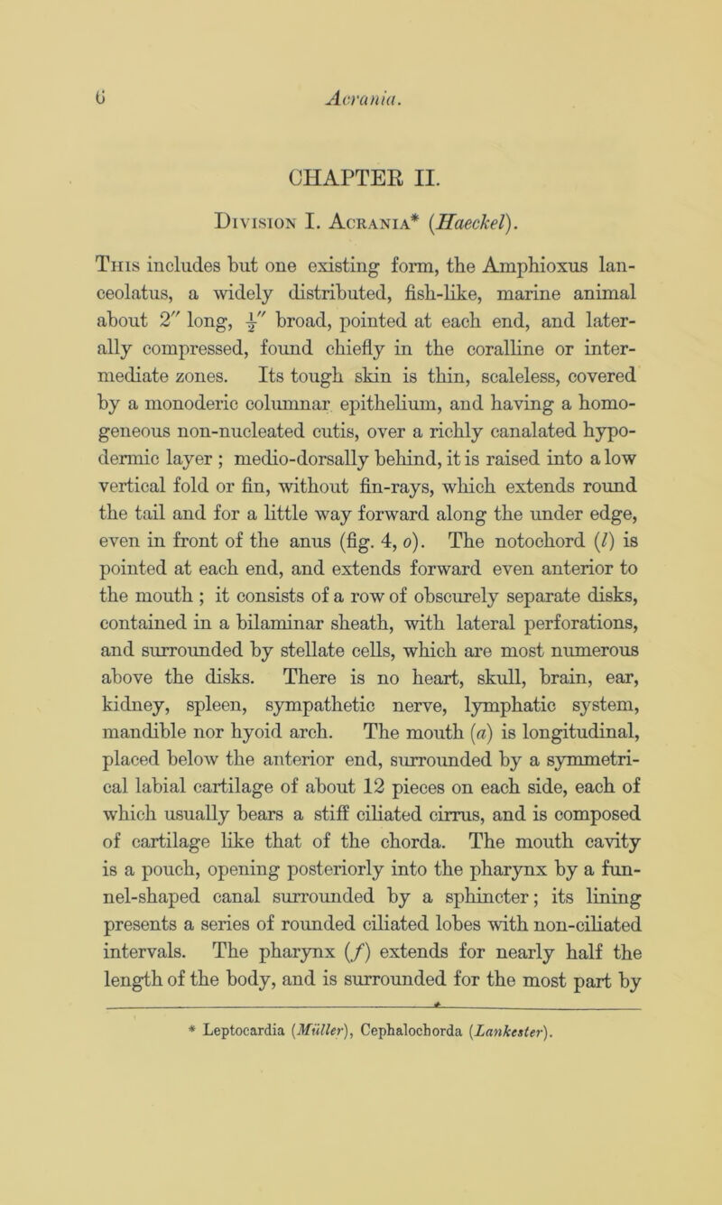 G Acraniii. CHAPTER II. Division I. Acrania* {Haeckel). This includes but one existing form, the Amphioxus lan- ceolatus, a widely distributed, fish-like, marine animal about 2 long, broad, pointed at each end, and later- ally compressed, found chiefly in the coralline or inter- mediate zones. Its tough skin is thin, scaleless, covered by a monoderic coliunnar epithelium, and having a homo- geneous non-nucleated cutis, over a richly canalated hypo- dermic layer ; medio-dorsally behind, it is raised into a low vertical fold or fin, without fin-rays, which extends round the tail and for a little way forward along the under edge, even in front of the anus (fig. 4, 6). The notochord (/) is pointed at each end, and extends forward even anterior to the mouth ; it consists of a row of obscurely separate disks, contained in a bilaminar sheath, with lateral perforations, and surrounded by stellate cells, which are most numerous above the disks. There is no heart, skull, brain, ear, kidney, spleen, sympathetic nerve, Ijrmphatic system, mandible nor hyoid arch. The mouth («) is longitudinal, placed below the anterior end, surrounded by a symmetri- cal labial cartilage of about 12 pieces on each side, each of which usually bears a stiff ciliated cirrus, and is composed of cartilage like that of the chorda. The mouth cavity is a pouch, opening posteriorly into the pharynx by a fun- nel-shaped canal surrounded by a sphincter; its lining presents a series of roimded ciliated lobes with non-ciliated intervals. The pharynx (/) extends for nearly half the length of the body, and is surrounded for the most part by * Leptocardia {Muller), Cephalochorda {Lankester).