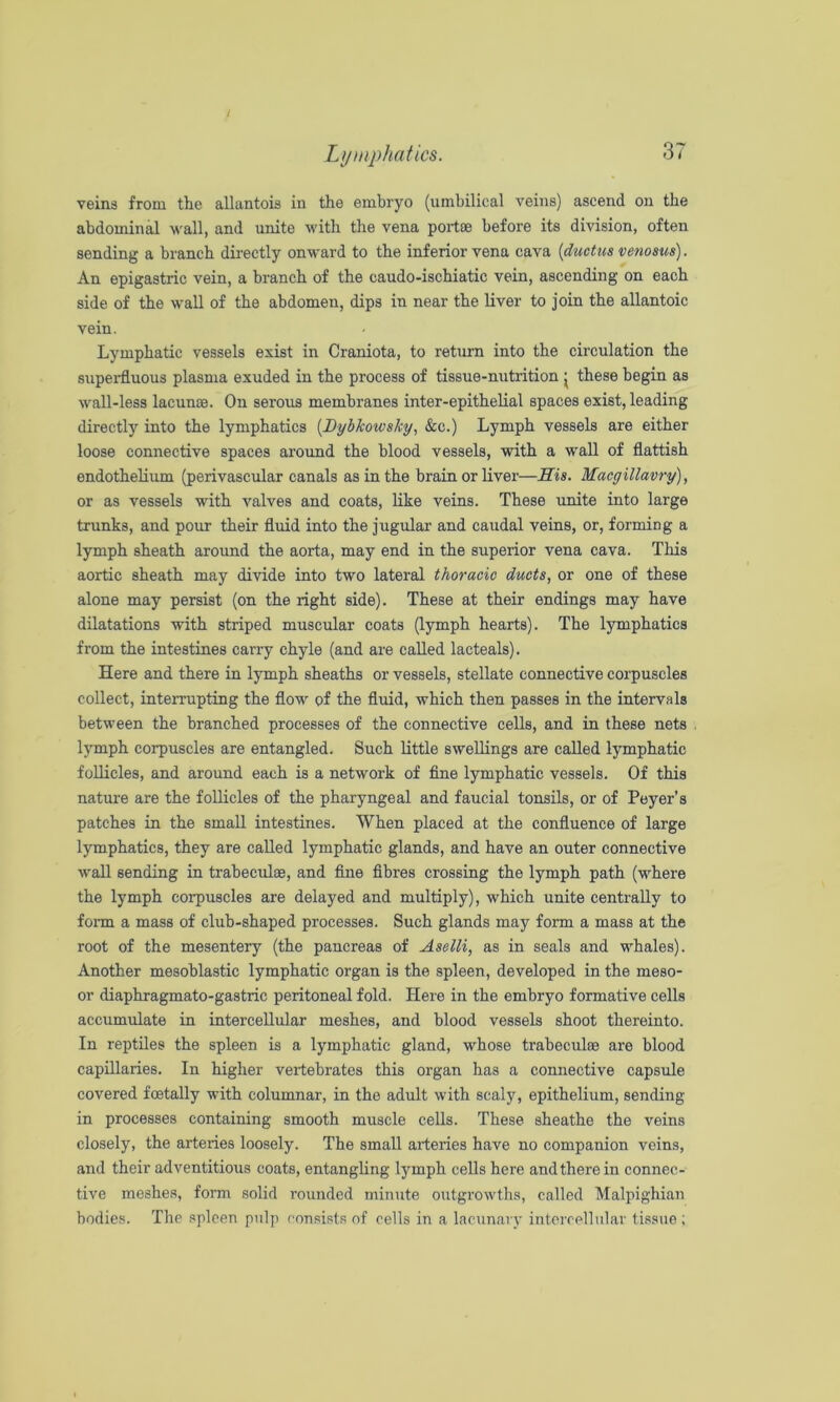 Lymphatics. veins from the allantois in the embryo (umbilical veins) ascend on the abdominal wall, and unite with the vena portse before its division, often sending a branch directly onward to the inferior vena cava {ductus venosus). An epigastric vein, a branch of the caudo-ischiatic vein, ascending on each side of the wall of the abdomen, dips in near the liver to join the allantoic vein. Lymphatic vessels exist in Craniota, to return into the circulation the supei-fluous plasma exuded in the process of tissue-nutrition j these begin as wall-less lacunae. On serous membranes inter-epithelial spaces exist, leading directly into the lymphatics [Lybhowsky, &c.) Lymph vessels are either loose connective spaces aroimd the blood vessels, with a wall of flatfish endothelium (perivascular canals as in the brain or liver—His. Macgillavry), or as vessels with valves and coats, like veins. These unite into large trunks, and pour their fluid into the jugular and caudal veins, or, forming a lymph sheath around the aorta, may end in the superior vena cava. This aortic sheath may divide into two lateral thoracic ducts, or one of these alone may persist (on the right side). These at their endings may have dilatations with striped muscular coats (lymph hearts). The lymphatics from the intestines carry chyle (and are called lacteals). Here and there in lymph sheaths or vessels, stellate connective corpuscles collect, interrupting the flow of the fluid, which then passes in the intervals between the branched processes of the connective cells, and in these nets lymph corpuscles are entangled. Such little swellings are called lymphatic follicles, and around each is a network of fine lymphatic vessels. Of this nature are the follicles of the pharyngeal and faucial tonsils, or of Peyer’s patches in the small intestines. When placed at the confluence of large lymphatics, they are called lymphatic glands, and have an outer connective wall sending in trabeculae, and fine fibres crossing the lymph path (where the lymph corpuscles are delayed and multiply), which unite centrally to fonn a mass of club-shaped processes. Such glands may form a mass at the root of the mesentery (the pancreas of Aselli, as in seals and whales). Another mesoblastic lymphatic organ is the spleen, developed in the meso- or diaphragmato-gastric peritoneal fold. Here in the embryo formative cells accumulate in intercellular meshes, and blood vessels shoot thereinto. In reptiles the spleen is a lymphatic gland, whose trabecnlae are blood capillaries. In higher vertebrates this organ has a connective capsule covered foetally with columnar, in the adult with scaly, epithelium, sending in processes containing smooth muscle cells. These sheathe the veins closely, the arteries loosely. The small arteries have no companion veins, and their adventitious coats, entangling lymph cells here and there in connec- tive meshes, form solid rounded minute outgrowths, called Malpighian bodies. Tlie spleen pulp consists of cells in a lacunavy intcrrellular tissue;