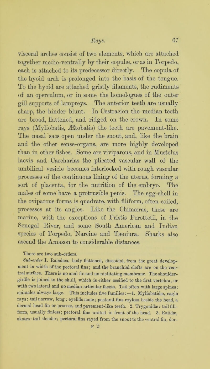 visceral arches consist of two elements, which are attached together medio-ventrally by their copuliB, or as in Torpedo, each is attached to its predecessor directly. The copula of the hyoid arch is prolonged into the basis of the tongue. To the hyoid are attached gristly filaments, the rudiments of an operculum, or in some the homologues of the outer gill supports of lampreys. The anterior teeth are usually sharp, the hinder blunt. In Cestracion the median teeth are broad, flattened, and ridged on the crown. In some rays (Myhobatis, .^tobatis) the teeth are pavement-like. The nasal sacs open under the snout, and, like the brain and the other sense-organs, are more highly developed than in other fishes. Some are viviparous, and in Mustelus laevis and Carcharias the plicated vascular wall of the umbilical vesicle becomes interlocked with rough vascular processes of the continuous fining of the uterus, forming a sort of placenta, for the nutrition of the embryo. The males of some have a protrusible penis. The egg-shell in the oviparous forms is quadrate, with filiform, often coiled, processes at its angles. Like the Chimaeras, these are marine, with the exceptions of Pristis Perottetii, in the Senegal Piver, and some South American and Indian species of Torpedo, Narcine and Taeniura. Sharks also ascend the Amazon to considerable distances. There are two sub-orders. Sub-order I. Raiadsea, body flattened, discoidal, from the great develop- ment in width of the pectoral fins; and the branchial clefts are on the ven- tral surface. There is no anal fin and no nictitating membrane. The shoulder- girdle is joined to the skull, which is either ossified to the first vertebra, or with two lateral and no median articular facets. Tail often with large spines; spiracles always large. This includes five families:—1. Myliobatidm, eagle rays: tail narrow, long; eyelids none; pectoral fins rayless beside the head, a dermal head fin or process, and pavement-like teeth. 2. Trygonidm: tail fili- form, usually finless; pectoral fins united in front of the head. 3. Raiidse, skates: tail slender; pectoral fins rayed from the snout to the ventral fin, dor- F 2