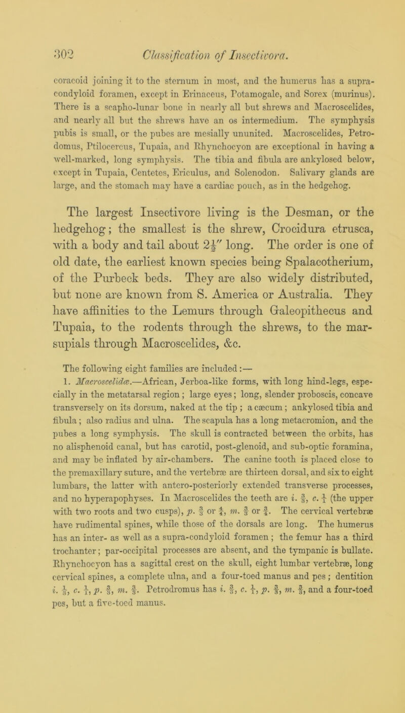 a02 Classification of Insecticora. coracoid joining it to the stcnium in most, and the humerus has a supra- condyloid foramen, except in Erinaceus, Potamogalc, and Sorex (murinus). There is a scapho-limar hone in nearly all but shrews and Macroscelides, and nearly all but the shrews have an os intermedium. The symphysis pubis is small, or the pubes are mesially ununited. Macroscelides, Petro- domus, Ptilocercus, Tupaia, and Ehynchocyon are exceptional in having a well-marked, long symphysis. The tibia and fibula are ankylosed below, except in Tupaia, Centetes, Ericulus, and Solenodon. Salivary glands are large, and the stomach may have a cardiac pouch, as in the hedgehog. The largest Insectivore living is the Desman, or the hedgehog; the smallest is the shrew, Crocidura etrusca, with a body and tail about long. The order is one of old date, the earliest known species being Spalacotherium, of the Piirheck beds. They are also widely distributed, but none are known from S. America or Australia. They liave affinities to the Lemurs through Galeopithecus and Tupaia, to the rodents through the shrews, to the mar- supials through Macroscelides, &c. The following eight families are included:— 1. Macroscelidfc.—African, Jerboa-like forms, with long hind-legs, espe- cially in the metatarsal region; large eyes; long, slender proboscis, concave transversely on its dorsum, naked at the tip ; a caecum; ankylosed tibia and fibula; also radius and ulna. The scapula has a long metacromion, and the pubes a long symphysis. The skull is contracted between the orbits, has no alisphenoid canal, but has carotid, post-glenoid, and sub-optic foramina, and may be inflated by air-chambers. The canine tooth is placed close to the premaxillary suture, and the vertebra! are thirteen dorsal, and six to eight lumbars, the latter with antcro-posteriorly extended transverse processes, and no hyperapophyses. In Macroscelides the teeth arc i. f, c. (the upper with two roots and two cusps), p. § or J, w- 3 or f. The cervical vertebrae have rudimental spines, while those of the dorsals are long. The humerus has an inter- as well as a supra-condyloid foramen; the femur has a third trochanter; par-occipital processes are absent, and the tympanic is bullate. Ehynchocyon has a sagittal crest on the skull, eight lumbar vertebrae, long cervical spines, a complete ulna, and a four-toed manus and pcs ; dentition i- 3, c. }, p. f, ni. Petrodi'omus has i. f, c. -J-, p. f, m. f, and a four-toed pes, but a five-toed manus.
