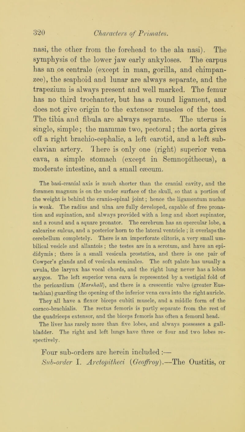 nasi, tlie other from the forehead to the ala nasi). The symphysis of the lower jaw early ankyloses. The carpus has an os centrale (except in man, gorilla, and chimpan- zee), the scaphoid and lunar are always separate, and the trapezium is always present and well marked. The femur has no third trochanter, but has a round ligament, and does not give origin to the extensor muscles of the toes. The tibia and fibula are always separate. The uterus is single, simple; the mammaB two, pectoral; the aorta gives off a right brachio-cephalic, a left carotid, and a left sub- clavian artery, d here is only one (right) superior vena cava, a simple stomach (except in Semnopithecus), a moderate intestine, and a small caecum. The basi-cranial axis is much shorter than the cranial cavity, and the foramen magnum is on the under surface of the skull, so that a portion of the weight is behind the cranio-spinal joint; hence the ligamentum nuchse is weak. The radius and ulna are fully developed, capable of free prona- tion and supination, and always provided with a long and short supinator, and a round and a square pronator. The cerebrum has an opercular lobe, a calcarine sulcus, and a posterior hom to the lateral ventricle ; it overlaps the cerebellum completely. There is an imperforate clitoris, a very small um- bilical vesicle and allantois ; the testes are in a scrotum, and have an epi- didymis ; there is a small vesicula prostatica, and there is one pair of Cowper’s glands and of vesicula seminales. The soft palate has usually a uvula, the larynx has vocal chords, and the right lung never has a lobus azygos. The left superior vena cava is represented by a vestigial fold of the pericardium {Marshall), and there is a crescentic valve (greater Eus- tachian) guarding the opening of the inferior vena cava into the right auricle. They all have a flexor biceps cubiti muscle, and a middle form of the coraco-brachialis. The rectus femoris is partly separate from the rest of the quadriceps extensor, and the biceps femoris has often a femoral head. The liver has rarely more than five lobes, and always possesses a gall- bladder. The right and left lungs have three or four and two lobes re- spectively. Four sub-orders are herein included :— ISuh-order I. Arctopitheci {Geqfroy).—The Oustitis, or