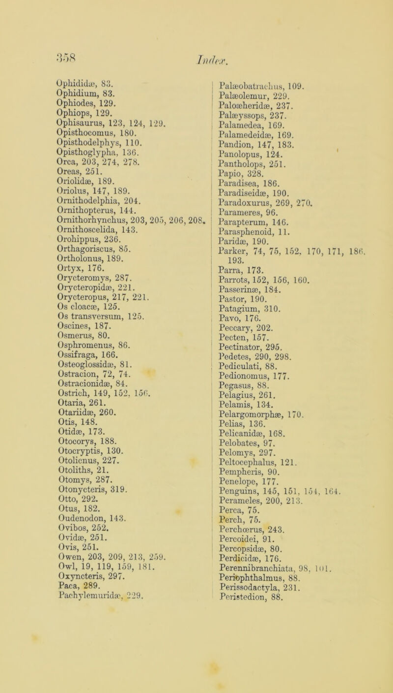 :r>S hnlc.r. Ophididu;, Sd. Ophidium, 83. Ophiodes, 129. Ophiops, 129. Ophisaurus, 123, 124, 129. Opisthocomus, 180. Opisthodelphys, 110. Opisthoglypha, 13G. Orca, 203, 274, 278. Oreas, 251. Oriolidas, 189. Oriolus, 147, 189. Omithodelpliia, 204. Ornithopterus, 144. Omithorhynchus, 203, 205, 206, 208. Ornithoscelida, 143. Orohippus, 236. Orthagoriscus, 85. Ortholonus, 189. Ortyx, 176. Orycteromys, 287. Orycteropidae, 221. Orycteropus, 217, 221. Os cloaca3, 125. Os transversum, 125. Oscines, 187. Osmerus, 80. Osphromenus, 86. Ossifraga, 166. Osteoglossidaj, 81. Ostracion, 72, 74. Ostracionidae, 84. Ostrich, 149, 152, 156. Otaria, 261. Otariidaa, 260. Otis, 148. Otidae, 173. Otocorys, 188. Otocryptis, 130. Otolicnus, 227. Otoliths, 21. Otomys, 287. Otonycteris, 319. Otto, 292. Otus, 182. Oudenodon, 143. Ovibos, 252. Ovidae, 251. Ovis, 251. Owen, 203, 209, 213, 259. Owl, 19, 119, 159, 181. Oiyncteris, 297. Paca, 289. Pachylcmuridac', 229. j Palajobatraclui.s, 109. : Palaeolemur, 229. ' Paloaeheridae, 237. Palaeyssops, 237. : Palamedea, 169. Palamedeidae, 169. Pandion, 147, 183. Panolopus, 124. Pantholops, 251. Papio, 328. Paradisea, 186. Paradiseidae, 190. Paradoxurus, 269, 270. Parameres, 96. Parapterum, 146. Parasphenoid, 11. Paridae, 190. Parker, 74, 75, 152. 170, 171, 186. 193. Parra, 173. Parrots, 152, 156, 160. Passerinae, 184. Pastor, 190. Patagium, 310. I Pavo, 176. Peccary, 202. Pecten, 157. ’ Pectinator, 295. Pedetes, 290, 298. j Pediculati, 88. Pediononms, 177. Pegasus, 88. Pelagius, 261. Pelamis, 134. Pelargomorphae, 170. Pelias, 136. Pelicanidae, 168. Pelobates, 97. Pelomys, 297. Peltocephalus, 121. Pempheris, 90. Penelope, 177. Penguins, 145, 151, 154, 164. Perameles, 200, 213. Perea, 75. Perch, 75. Perchoenis, 243. Percoidei, 91. ‘ Percopsidae, 80. Perdicidae, 176. Perennibranchiatii, 98, lt)l. Periophthalmus, 88. Perissodactyla, 231. Poristedion, 88.