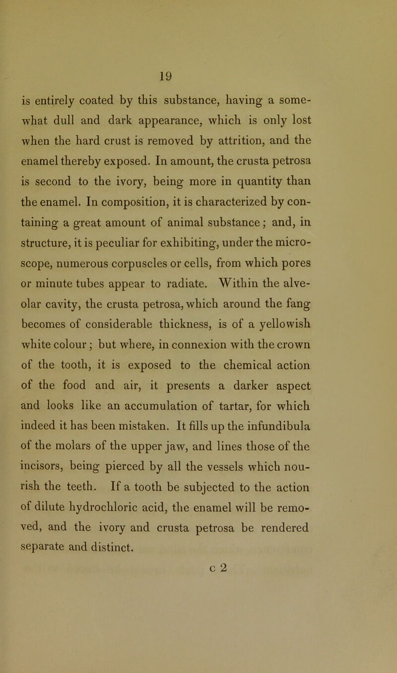 is entirely coated by this substance, having a some- what dull and dark appearance, which is only lost when the hard crust is removed by attrition, and the enamel thereby exposed. In amount, the crusta petrosa is second to the ivory, being more in quantity than the enamel. In composition, it is characterized by con- taining a great amount of animal substance; and, in structure, it is peculiar for exhibiting, under the micro- scope, numerous corpuscles or cells, from which pores or minute tubes appear to radiate. Within the alve- olar cavity, the crusta petrosa, which around the fang becomes of considerable thickness, is of a yellowish white colour; but where, in connexion with the crown of the tooth, it is exposed to the chemical action of the food and air, it presents a darker aspect and looks like an accumulation of tartar, for which indeed it has been mistaken. It fills up the infundibula of the molars of the upper jaw, and lines those of the incisors, being pierced by all the vessels which nou- rish the teeth. If a tooth be subjected to the action of dilute hydrochloric acid, the enamel will be remo- ved, and the ivory and crusta petrosa be rendered separate and distinct. c 2