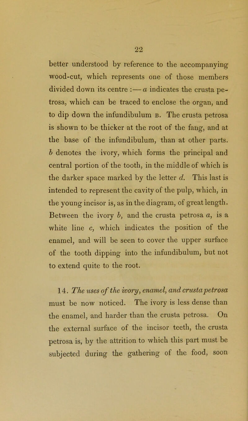 better understood by reference to the accompanying wood-cut, which represents one of those members divided down its centre :—a indicates the crusta pe- trosa, which can be traced to enclose the organ, and to dip down the infundibulum b. The crusta petrosa is shown to be thicker at the root of the fang, and at the base of the infundibulum, than at other parts. b denotes the ivory, which forms the principal and central portion of the tooth, in the middle of which is the darker space marked by the letter d. This last is intended to represent the cavity of the pulp, which, in the young incisor is, as in the diagram, of great length. Between the ivory b, and the crusta petrosa a, is a white line c, which indicates the position of the enamel, and will be seen to cover the upper surface of the tooth dipping into the infundibulum, but not to extend quite to the root. 14. The uses of the ivory, enamel, and crusta petrosa must be now noticed. The ivory is less dense than the enamel, and harder than the crusta petrosa. On the external surface of the incisor teeth, the crusta petrosa is, by the attrition to which this part must be subjected during the gathering of the food, soon