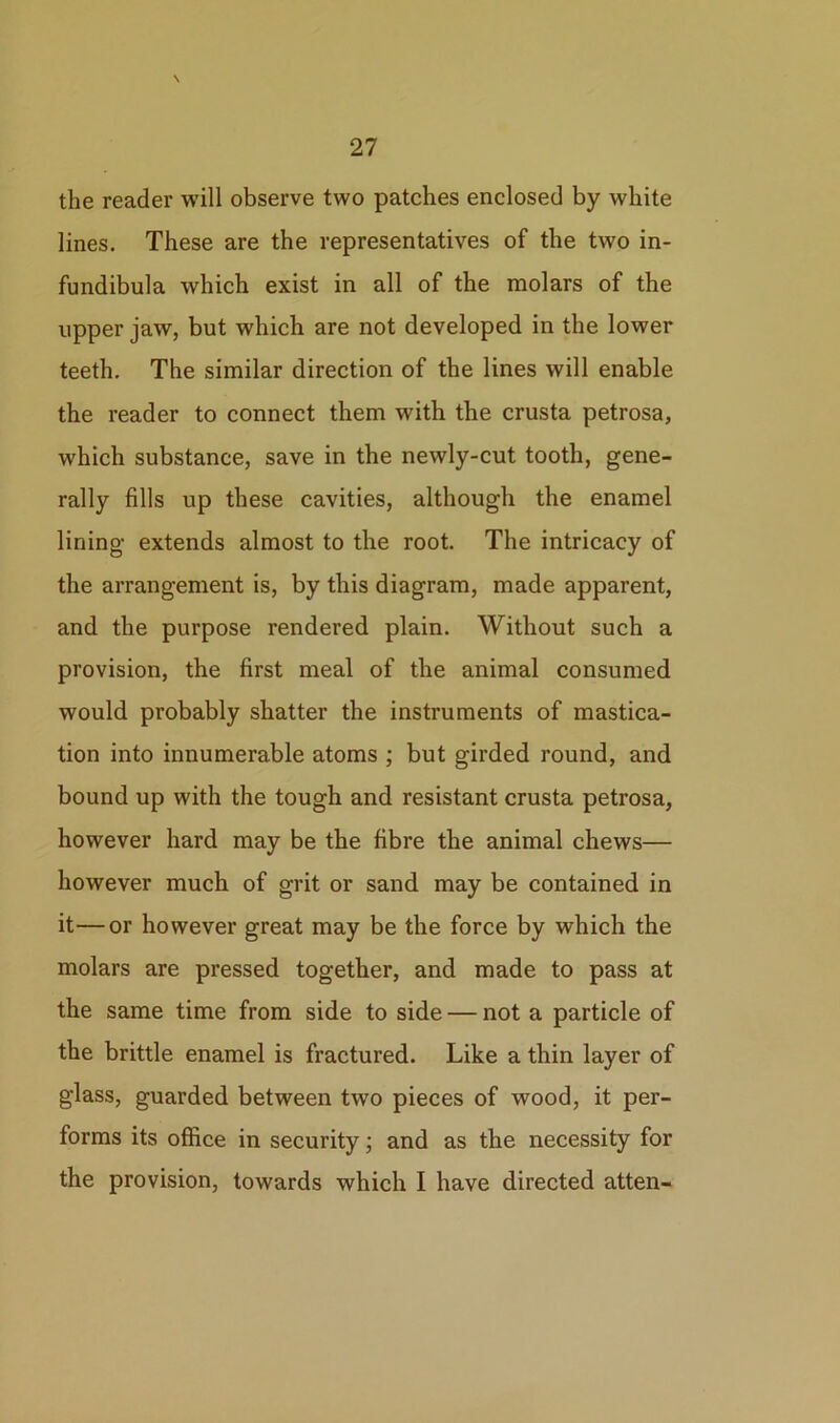 the reader will observe two patches enclosed by white lines. These are the representatives of the two in- fundibula which exist in all of the molars of the upper jaw, but which are not developed in the lower teeth. The similar direction of the lines will enable the reader to connect them with the crusta petrosa, which substance, save in the newly-cut tooth, gene- rally fills up these cavities, although the enamel lining extends almost to the root. The intricacy of the arrangement is, by this diagram, made apparent, and the purpose rendered plain. Without such a provision, the first meal of the animal consumed would probably shatter the instruments of mastica- tion into innumerable atoms ; but girded round, and bound up with the tough and resistant crusta petrosa, however hard may be the fibre the animal chews— however much of grit or sand may be contained in it—or however great may be the force by which the molars are pressed together, and made to pass at the same time from side to side — not a particle of the brittle enamel is fractured. Like a thin layer of glass, guarded between two pieces of wood, it per- forms its office in security; and as the necessity for the provision, towards which I have directed atten-