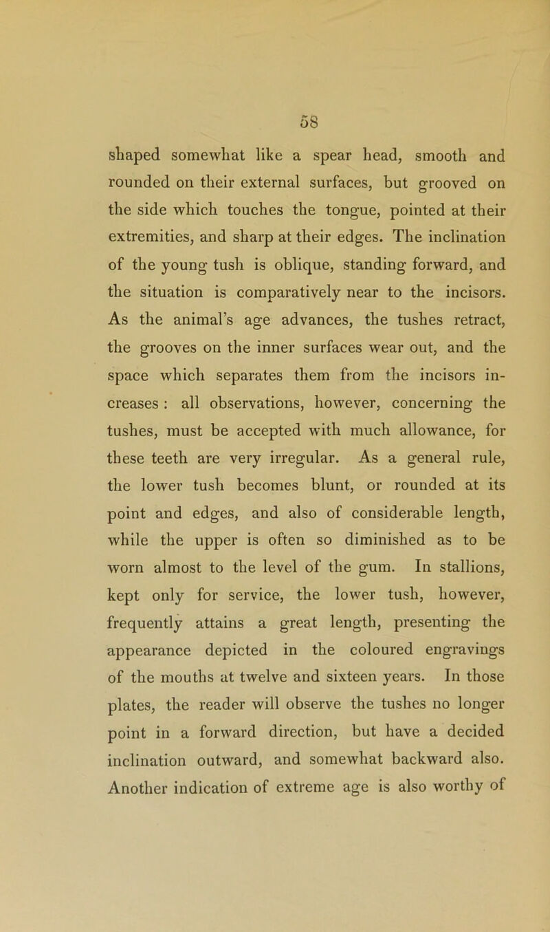 shaped somewhat like a spear head, smooth and rounded on their external surfaces, but grooved on the side which touches the tongue, pointed at their extremities, and sharp at their edges. The inclination of the young tush is oblique, standing forward, and the situation is comparatively near to the incisors. As the animal’s age advances, the tushes retract, the grooves on the inner surfaces wear out, and the space which separates them from the incisors in- creases : all observations, however, concerning the tushes, must be accepted with much allowance, for these teeth are very irregular. As a general rule, the lower tush becomes blunt, or rounded at its point and edges, and also of considerable length, while the upper is often so diminished as to be worn almost to the level of the gum. In stallions, kept only for service, the lower tush, however, frequently attains a great length, presenting the appearance depicted in the coloured engravings of the mouths at twelve and sixteen years. In those plates, the reader will observe the tushes no longer point in a forward direction, but have a decided inclination outward, and somewhat backward also. Another indication of extreme age is also worthy of