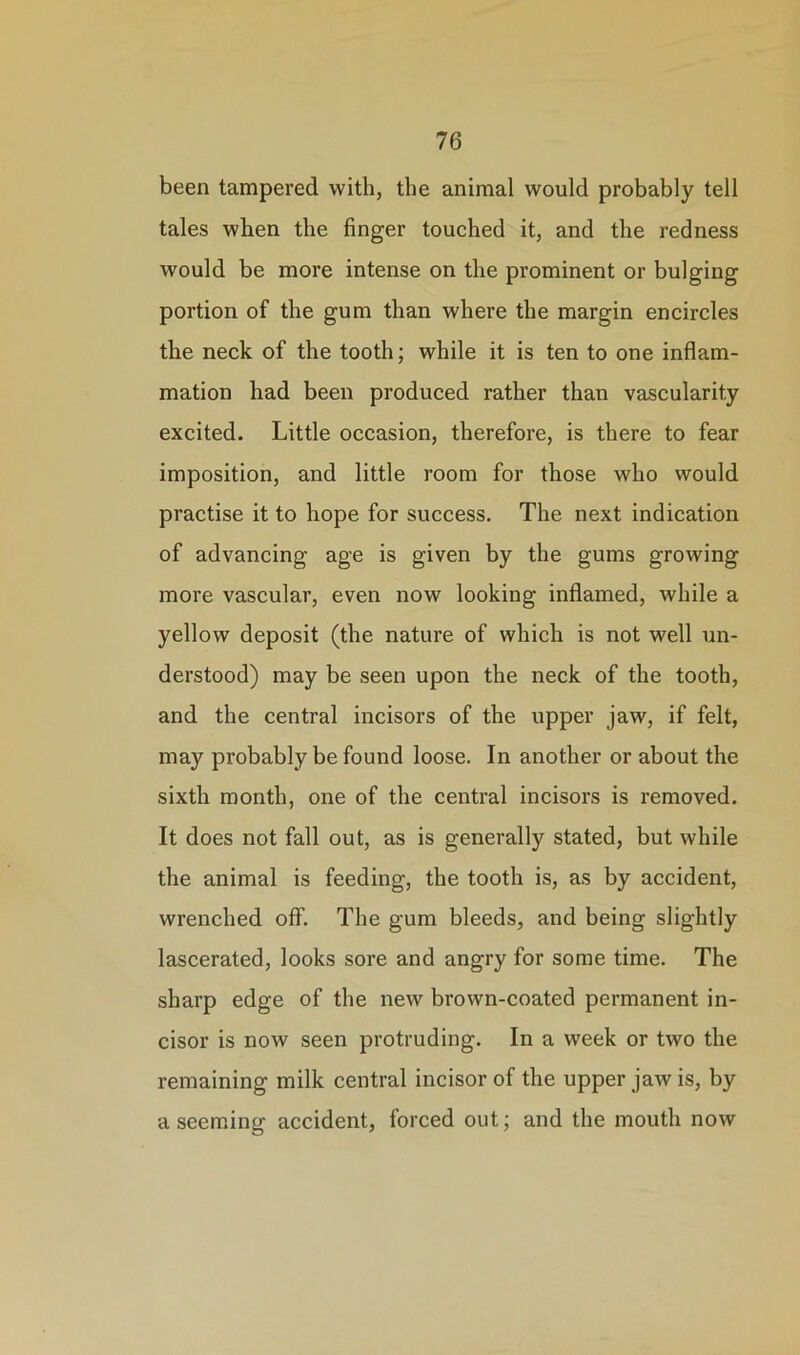 been tampered with, the animal would probably tell tales when the finger touched it, and the redness would be more intense on the prominent or bulging portion of the gum than where the margin encircles the neck of the tooth; while it is ten to one inflam- mation had been produced rather than vascularity excited. Little occasion, therefore, is there to fear imposition, and little room for those who would practise it to hope for success. The next indication of advancing age is given by the gums growing more vascular, even now looking inflamed, while a yellow deposit (the nature of which is not well un- derstood) may be seen upon the neck of the tooth, and the central incisors of the upper jaw, if felt, may probably be found loose. In another or about the sixth month, one of the central incisors is removed. It does not fall out, as is generally stated, but while the animal is feeding, the tooth is, as by accident, wrenched off. The gum bleeds, and being slightly lascerated, looks sore and angry for some time. The sharp edge of the new brown-coated permanent in- cisor is now seen protruding. In a week or two the remaining milk central incisor of the upper jaw is, by a seeming accident, forced out; and the mouth now