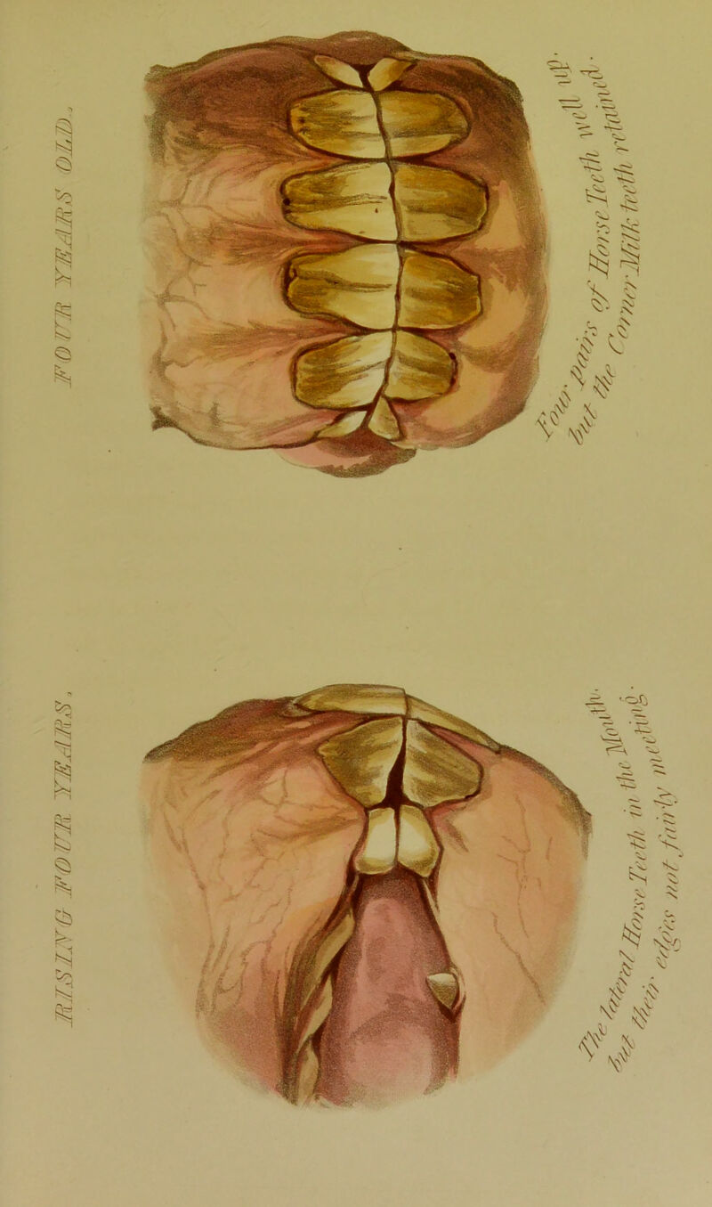 MIEIJTO FOWM TEAKS, F (DTE TEAMS (OLE)