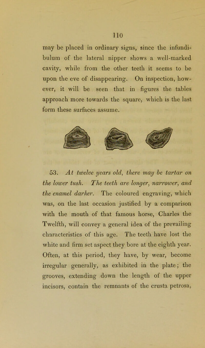 may be placed in ordinary signs, since the infundi- bulum of the lateral nipper shows a well-marked cavity, while from the other teeth it seems to be upon the eve of disappearing. On inspection, how- ever, it will be seen that in figures the tables approach more towards the square, which is the last form these surfaces assume. 53. At twelve years old, there may he tartar on the lower tush. The teeth are longer, narrower, and the enamel darker. The coloured engraving which was, on the last occasion justified by a comparison with the mouth of that famous horse, Charles the Twelfth, will convey a general idea of the prevailing characteristics of this age. The teeth have lost the white and firm set aspect they bore at the eighth year. Often, at this period, they have, by wear, become irregular generally, as exhibited in the plate; the grooves, extending down the length of the upper incisors, contain the remnants of the crusta petrosa,