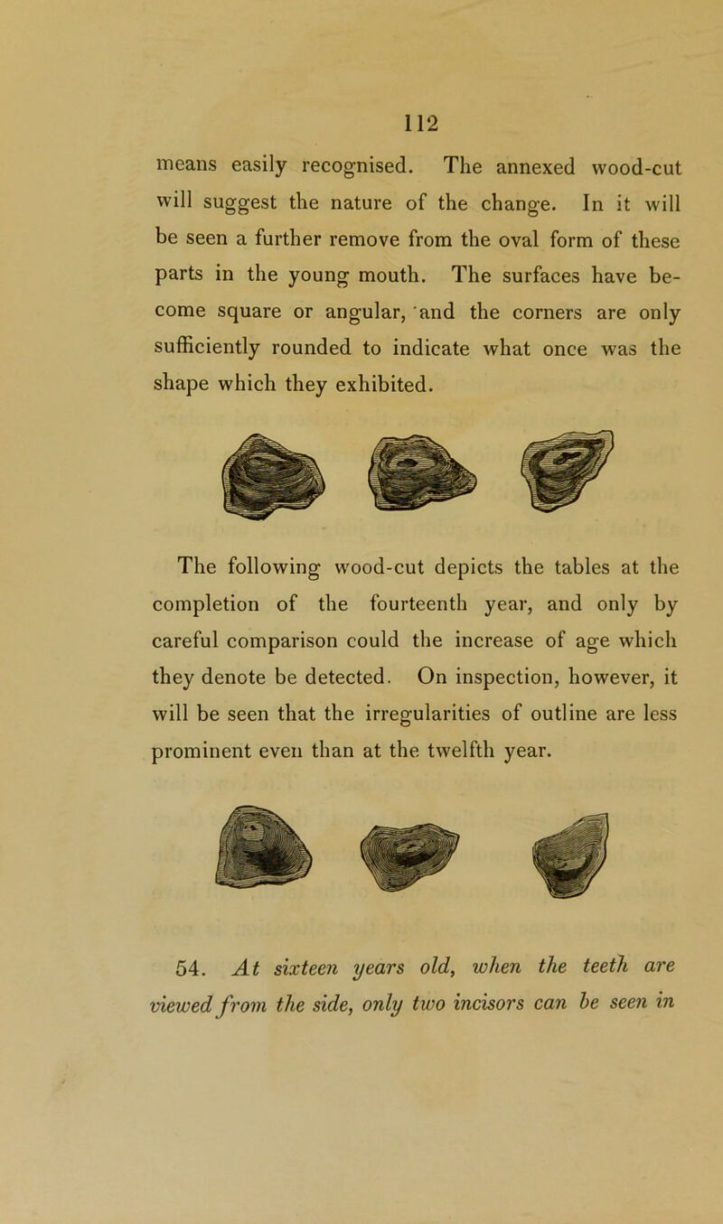 means easily recognised. The annexed wood-cut will suggest the nature of the change. In it will be seen a further remove from the oval form of these parts in the young mouth. The surfaces have be- come square or angular, and the corners are only sufficiently rounded to indicate what once was the shape which they exhibited. The following wood-cut depicts the tables at the completion of the fourteenth year, and only by careful comparison could the increase of age which they denote be detected. On inspection, however, it will be seen that the irregularities of outline are less prominent even than at the twelfth year. 54. At sixteen years old, when the teeth are viewed from the side, only two incisors can he seen in